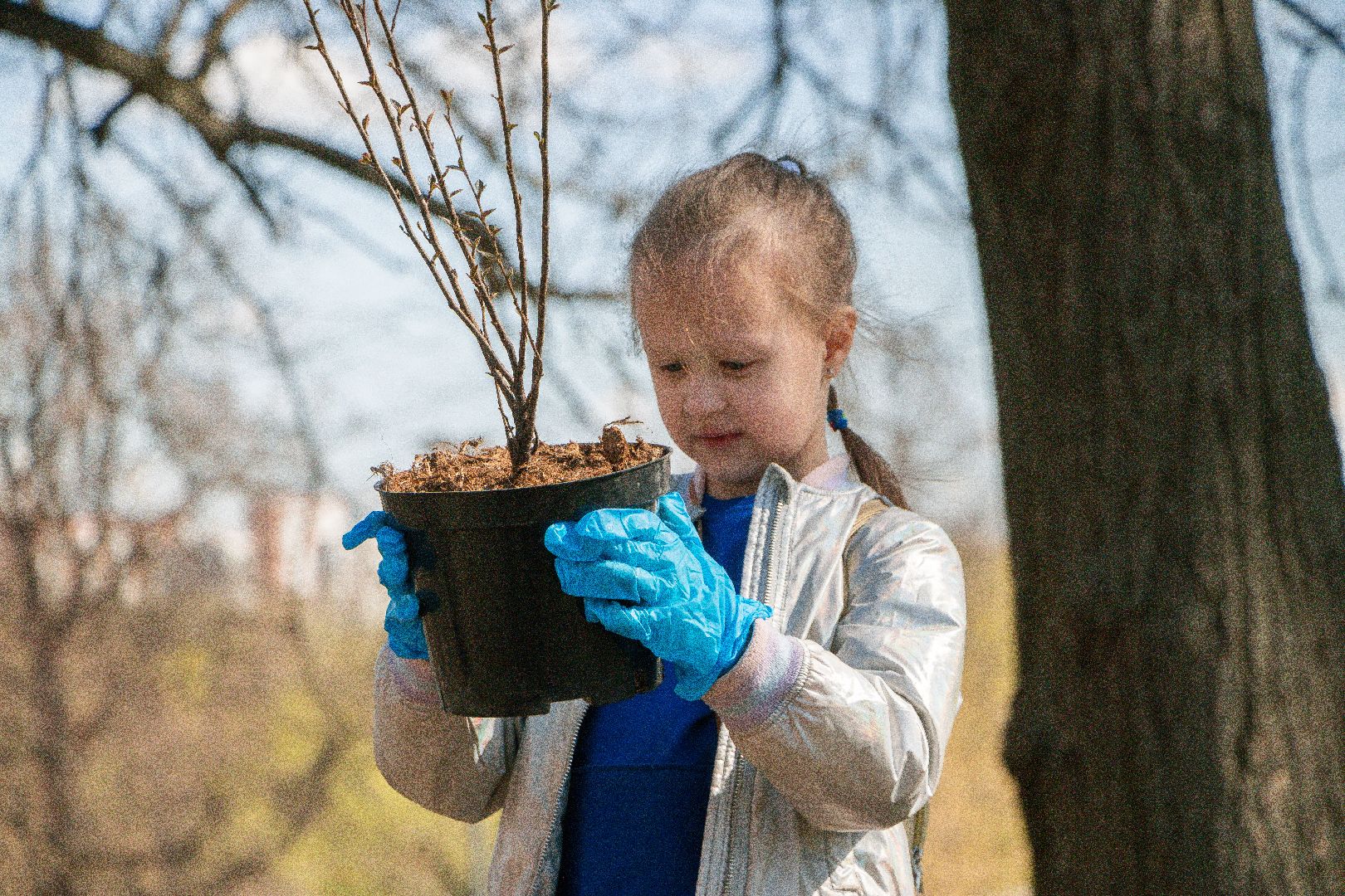 Парки Подмосковья, Акция Подари лес другу, парк Константиновский