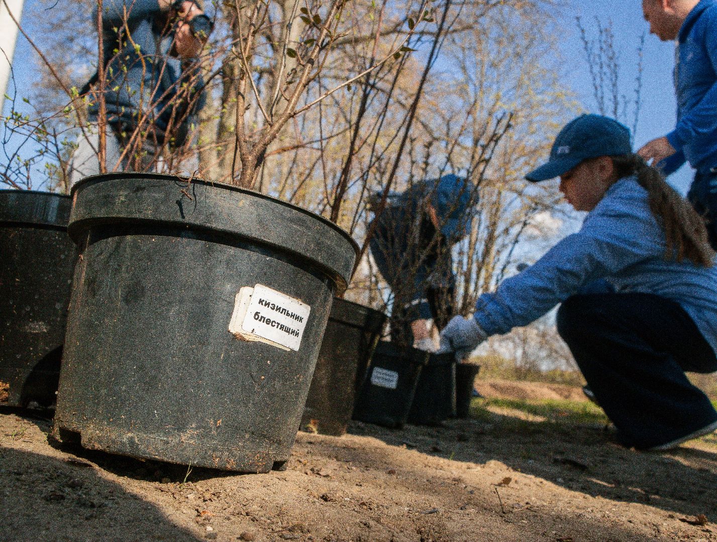 Парки Подмосковья, Акция Подари лес другу, парк Константиновский