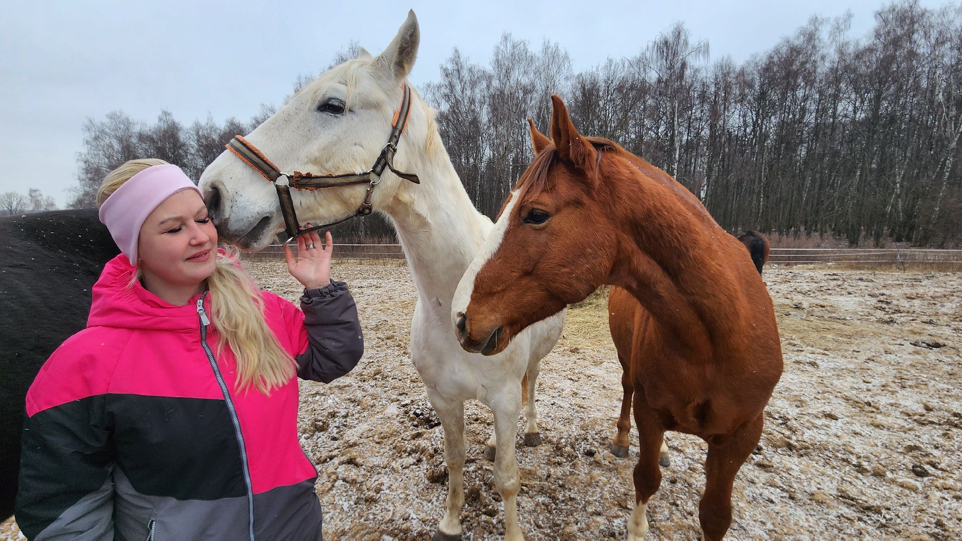 спорт, конный спорт, общество, лошади, конный клуб, домодедово, соревнования, подмосковье,