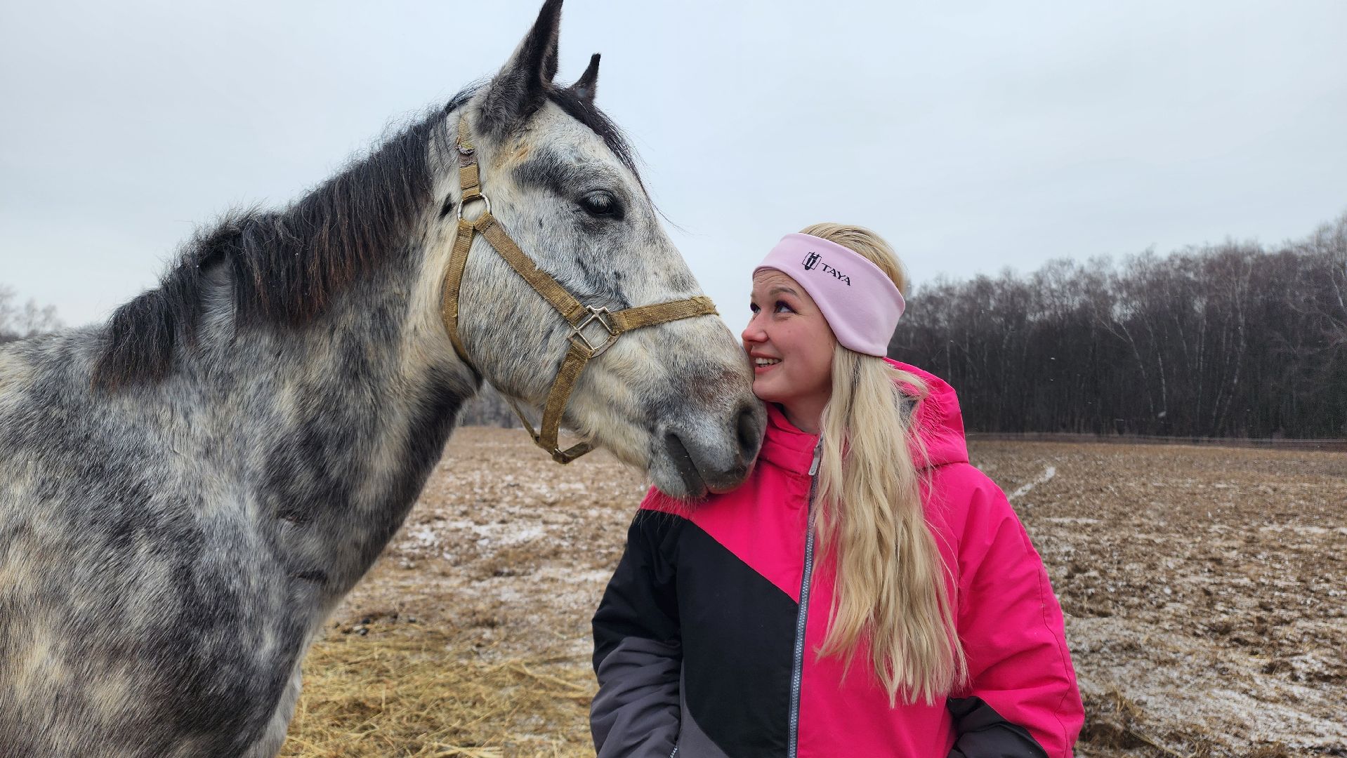 спорт, конный спорт, общество, лошади, конный клуб, домодедово, соревнования, подмосковье,