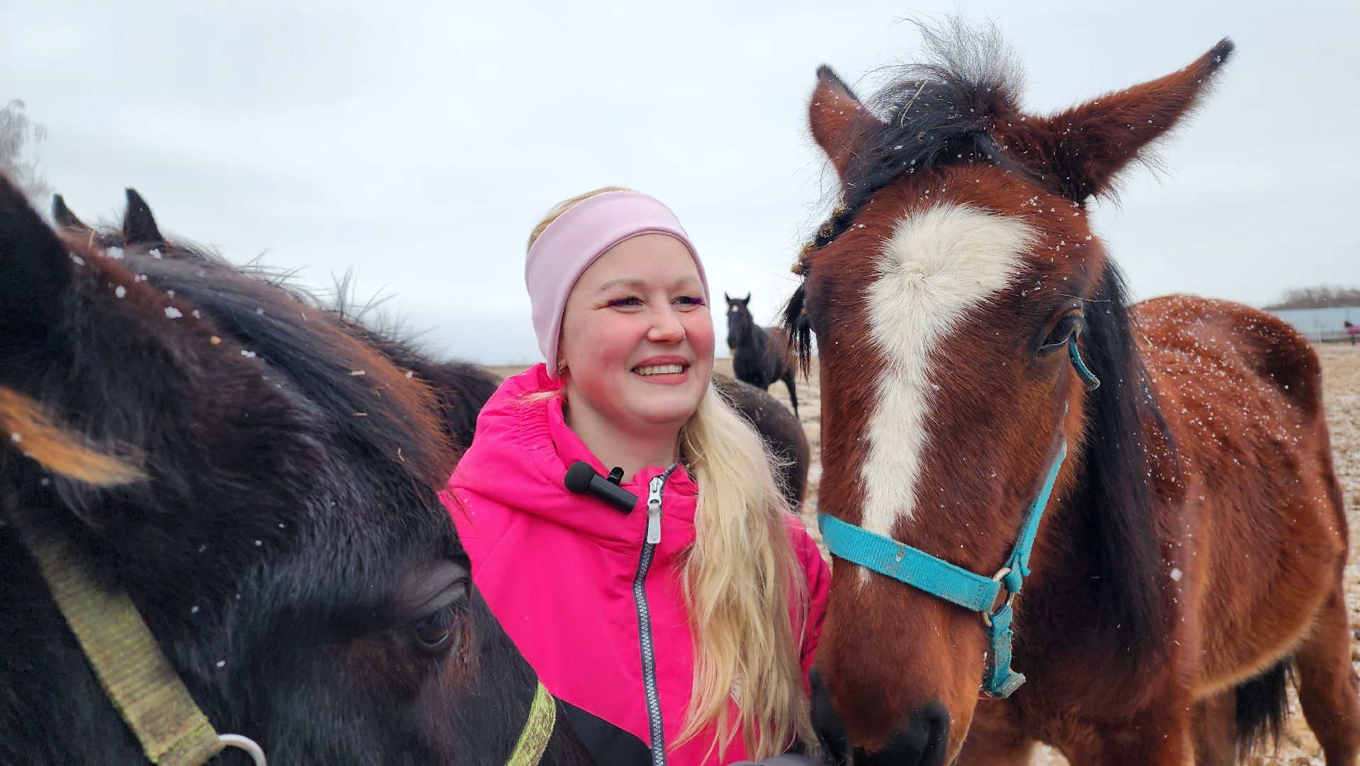 спорт, конный спорт, общество, лошади, конный клуб, домодедово, соревнования, подмосковье,