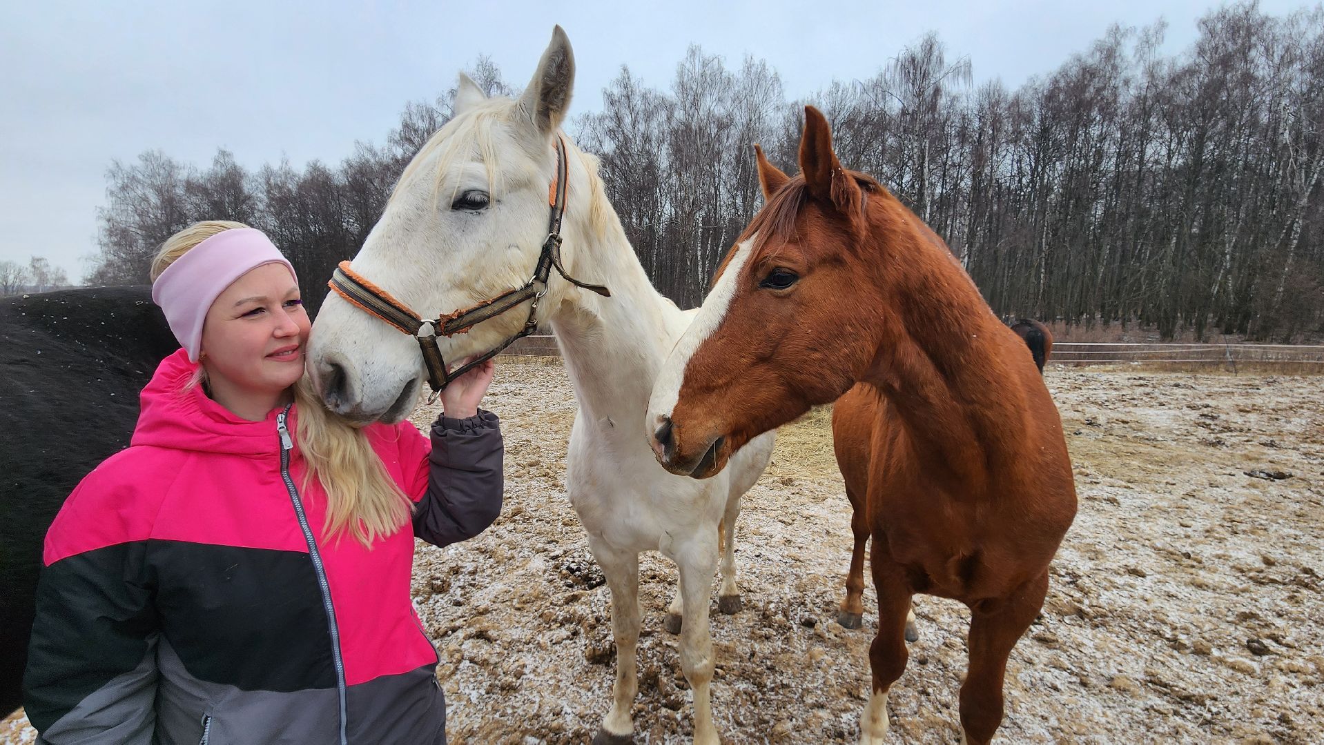 спорт, конный спорт, общество, лошади, конный клуб, домодедово, соревнования, подмосковье,