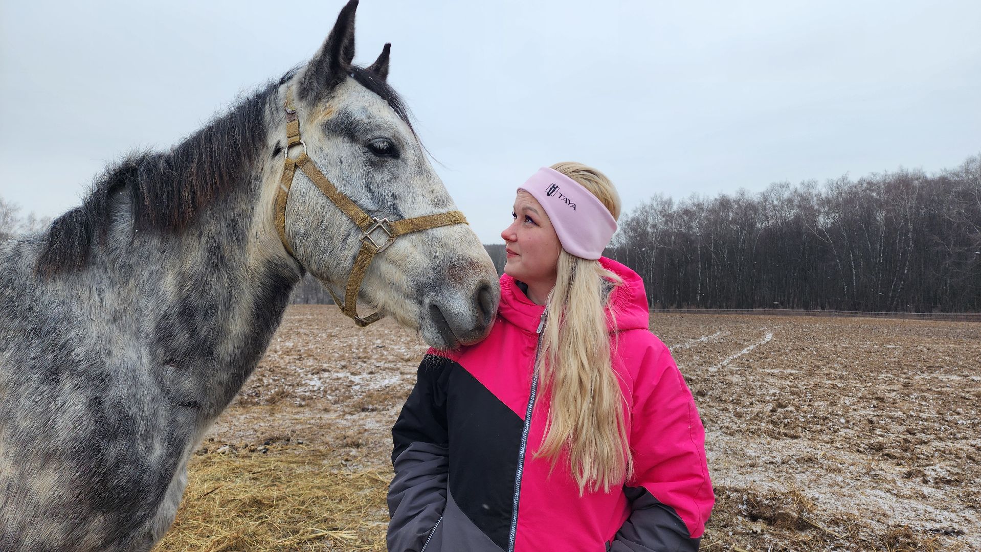 спорт, конный спорт, общество, лошади, конный клуб, домодедово, соревнования, подмосковье,