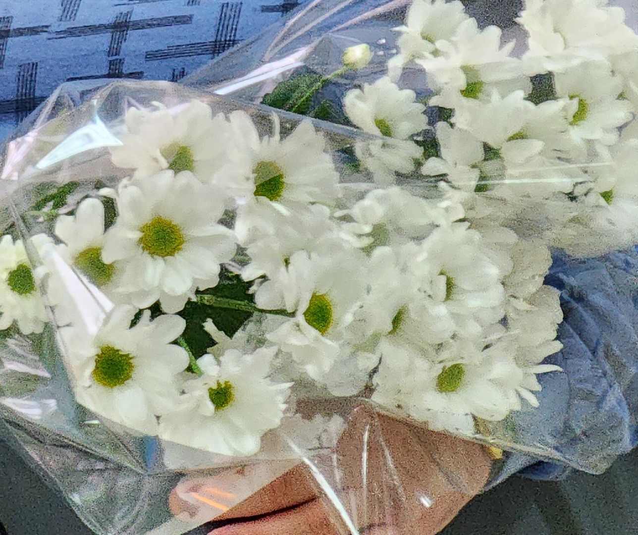 Луховицы, афганская война, вертикалки