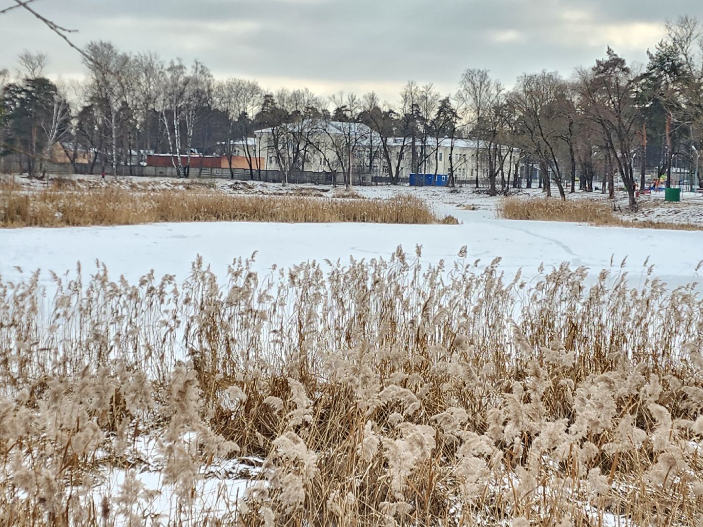раменское, общество, выездная администрация, быково,