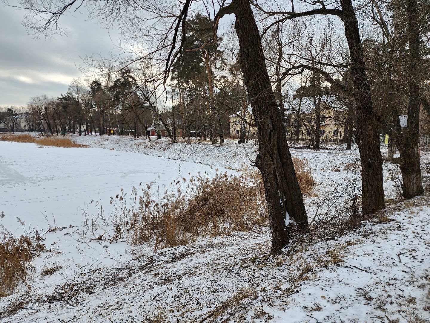 раменское, общество, выездная администрация, быково,