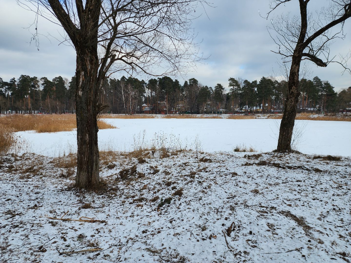 раменское, общество, выездная администрация, быково,