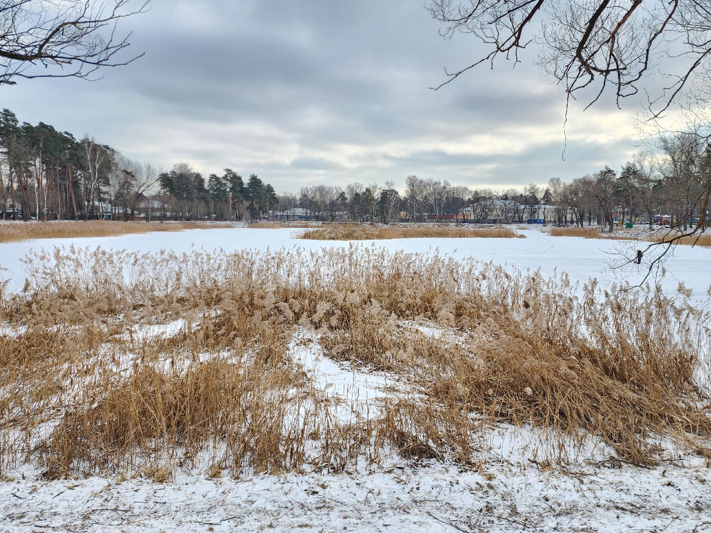 раменское, общество, выездная администрация, быково,