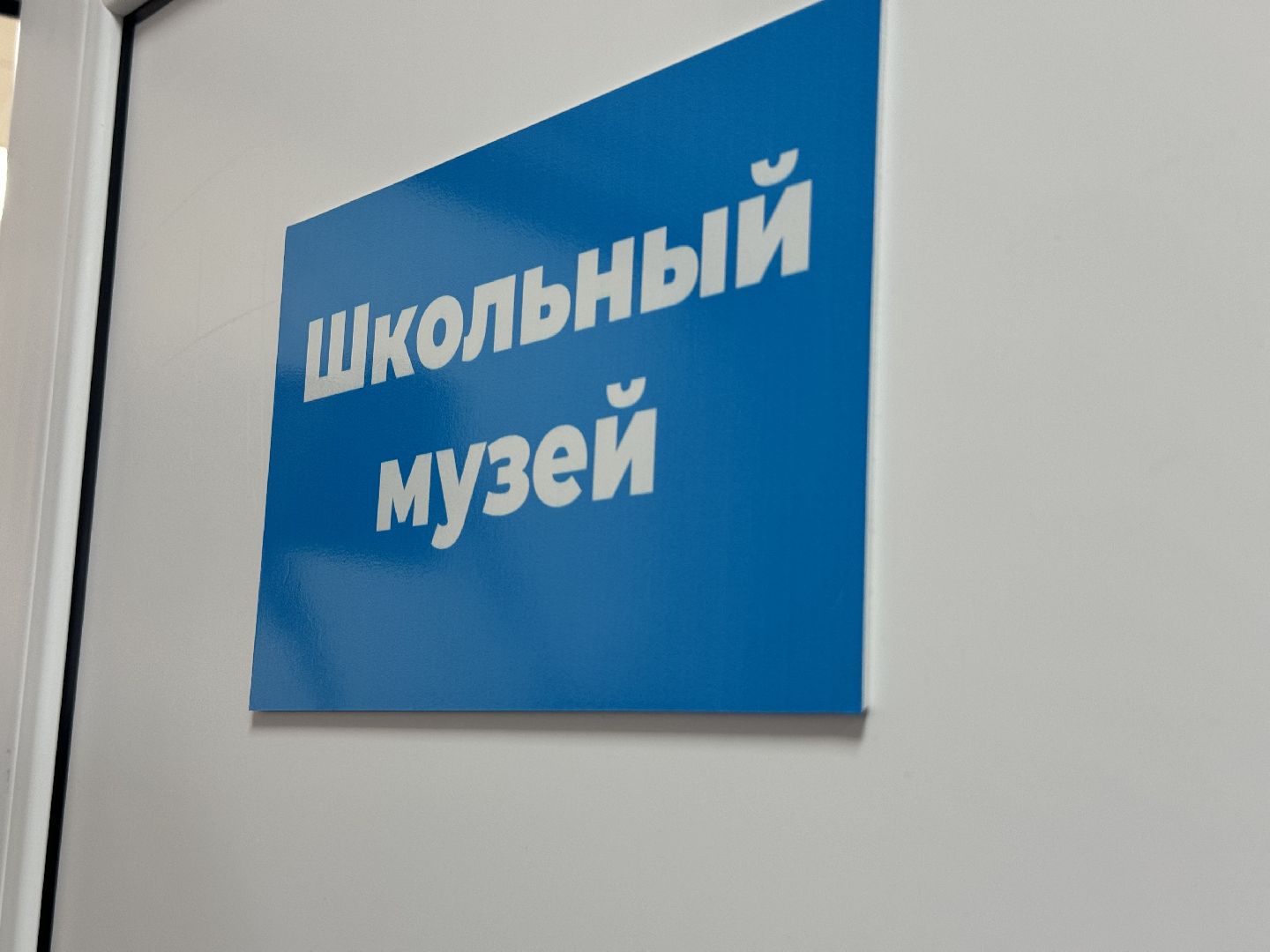 Телемост, Герой СССР, Василий Молоков, Открытие музея,молоковская сош,