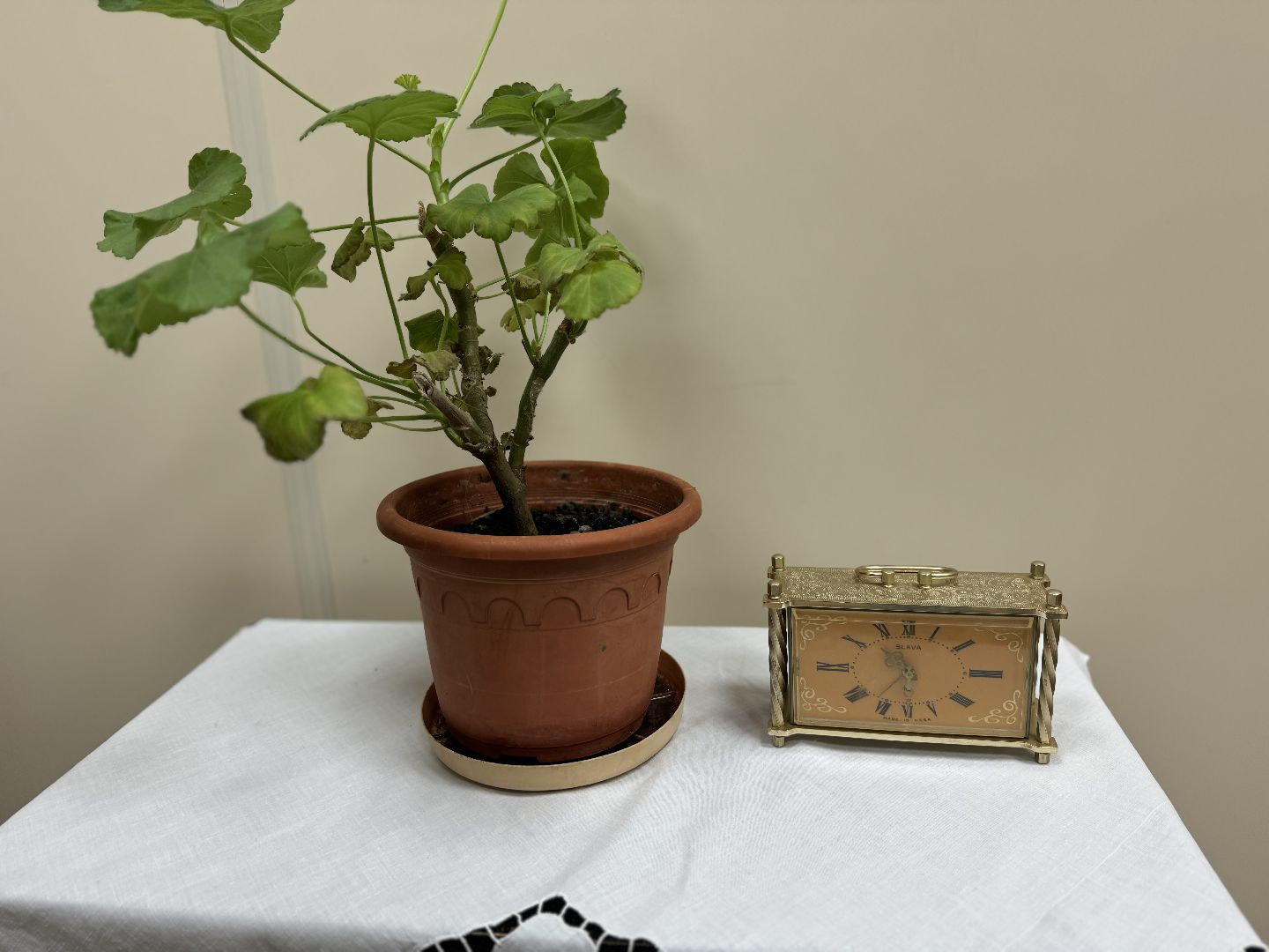 Телемост, Герой СССР, Василий Молоков, Открытие музея,молоковская сош,