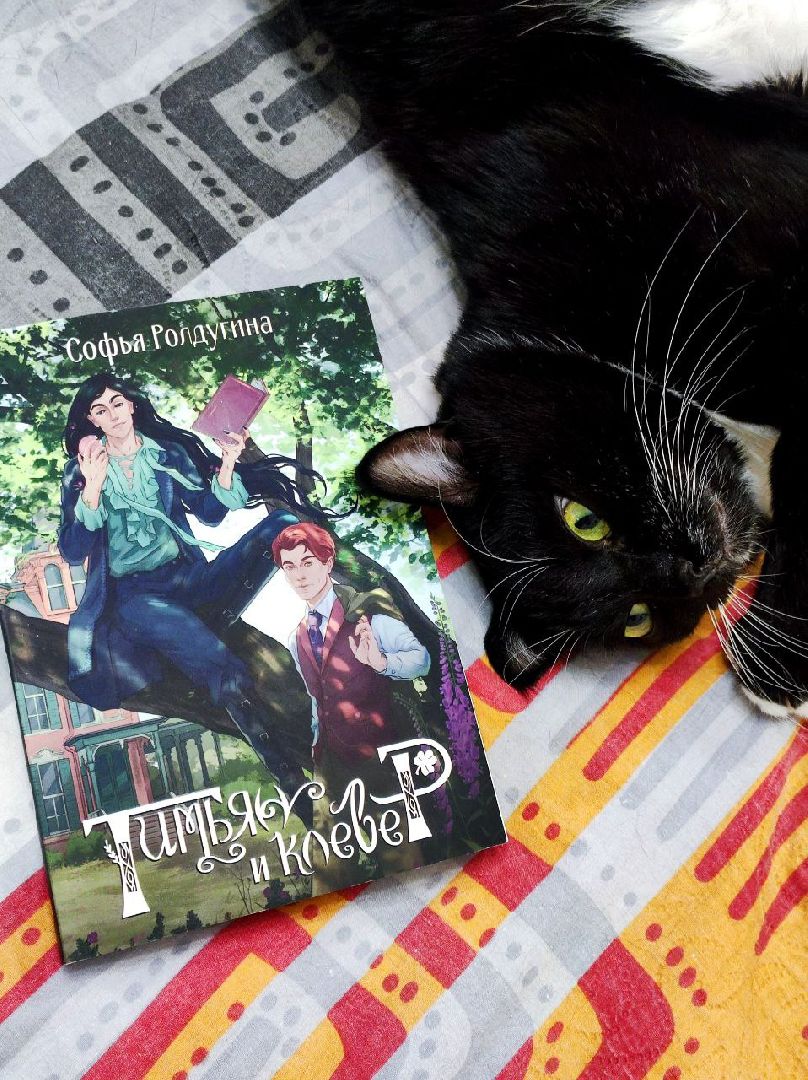 лыткарино, 7 гимназия лыткарино, ольга родина, ольга родина 7 гимназия, завуч и его кот,кот феликс,