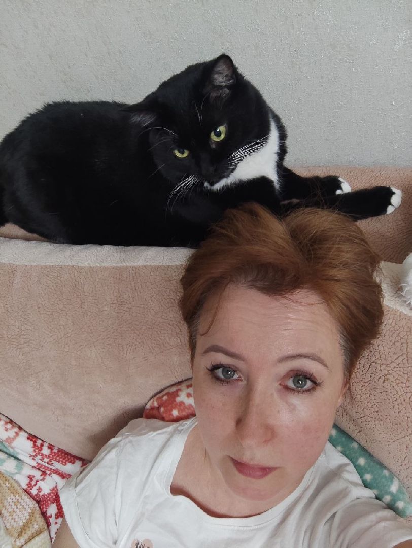 лыткарино, 7 гимназия лыткарино, ольга родина, ольга родина 7 гимназия, завуч и его кот,кот феликс,