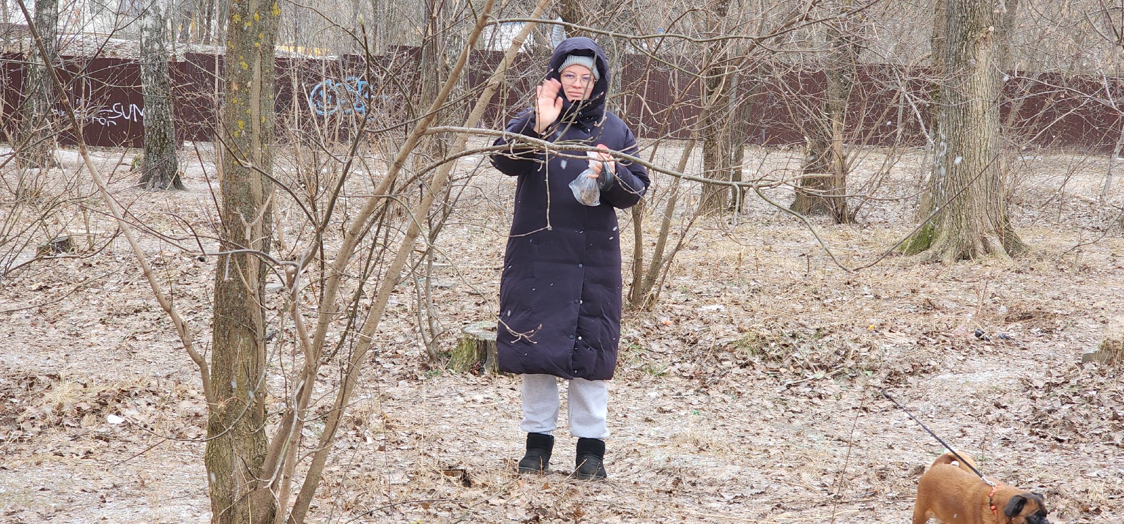 вертикалки, благоустройство, народные тропы,