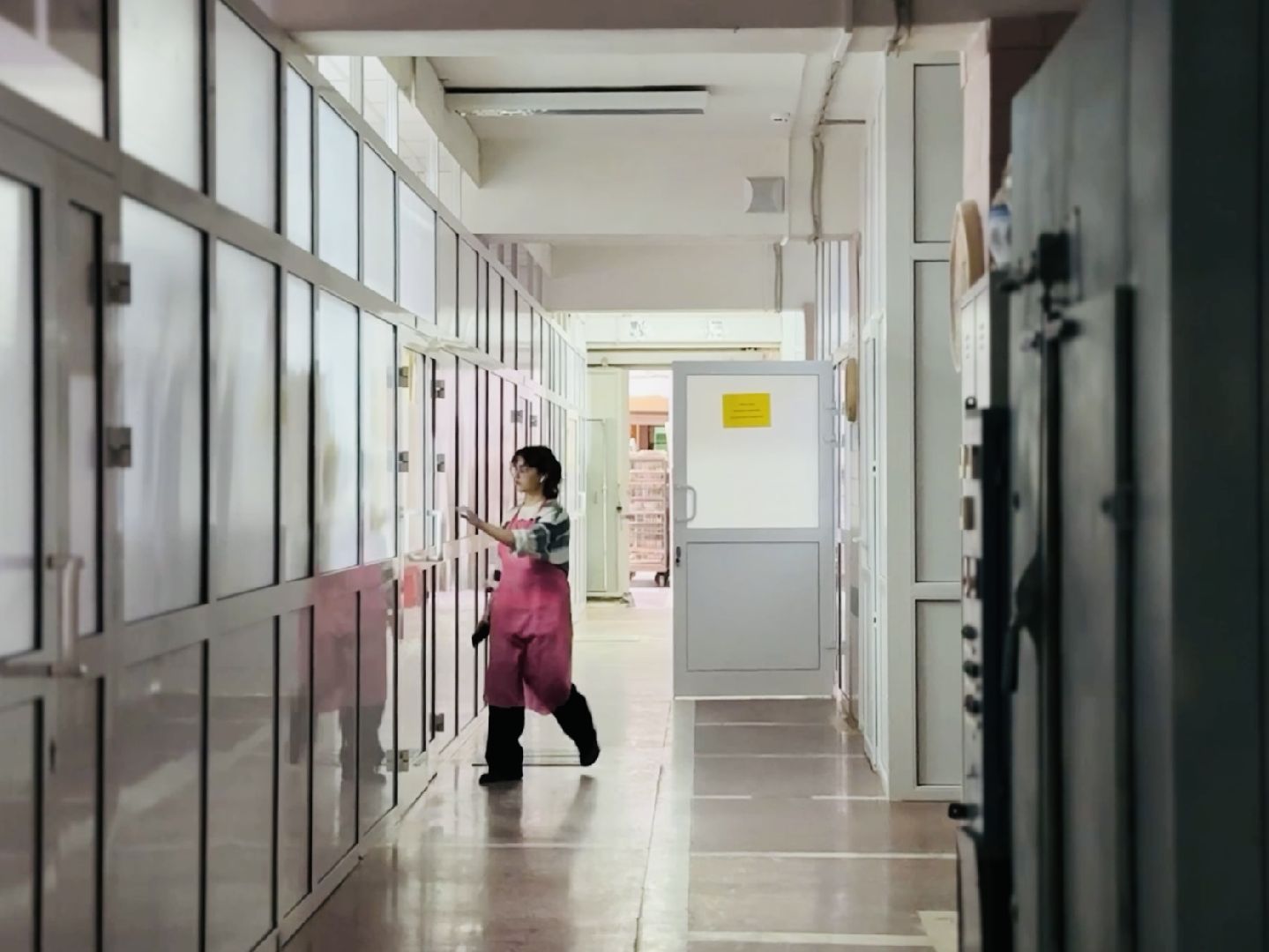 раменское, гжель, ггу, гжельский государственный университет, студенты, колледж, вуз,