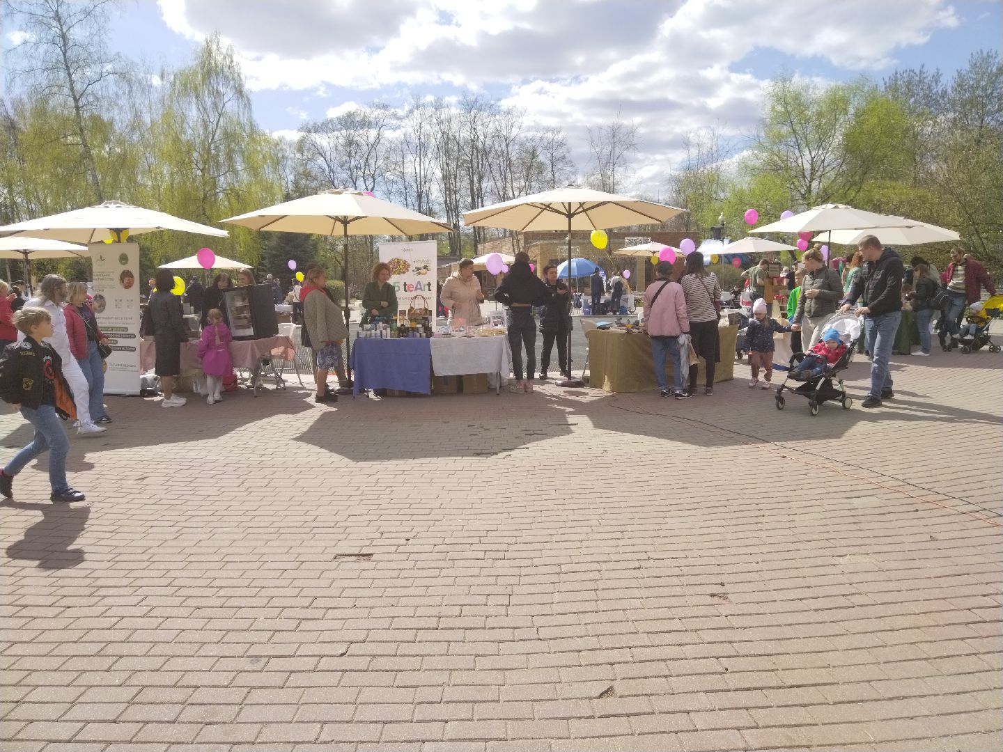 субботник, ежевика, Мытищи, нежный бизнес