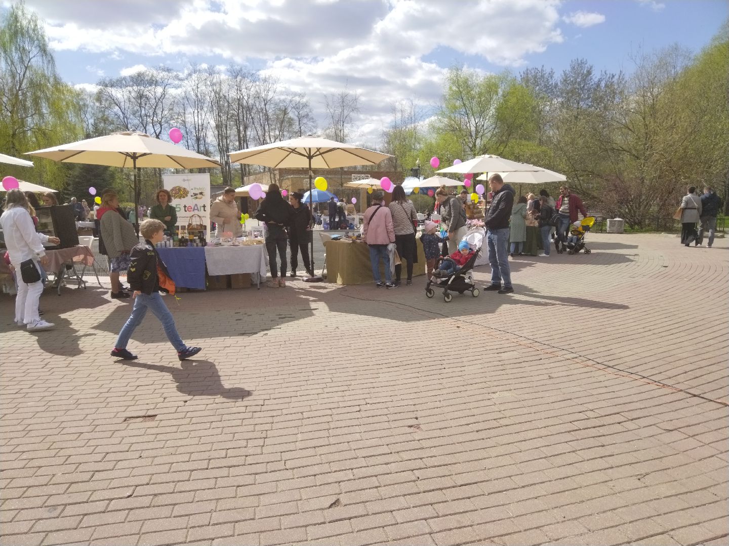 субботник, ежевика, Мытищи, нежный бизнес