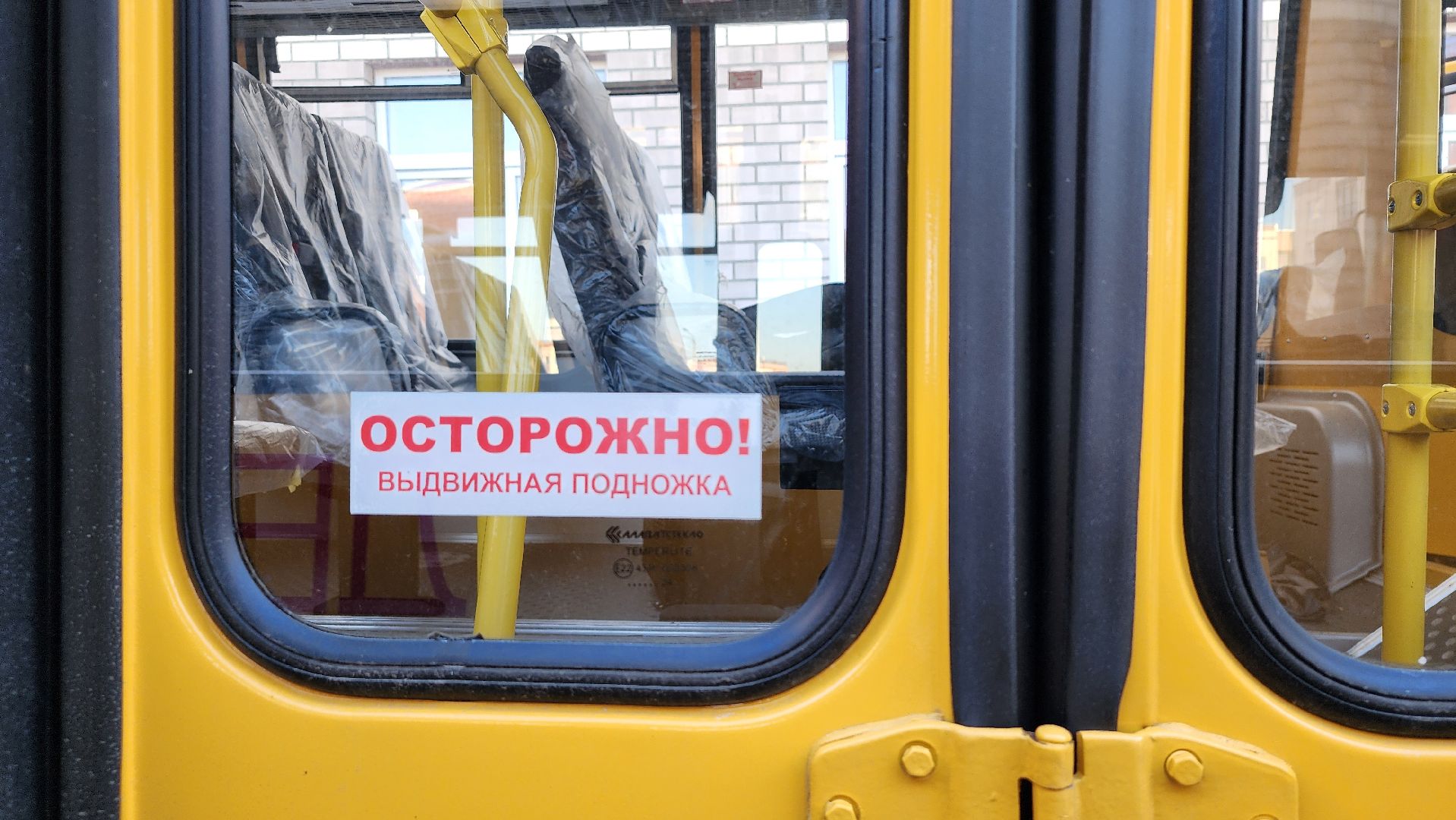 сельская школа, школьные автобусы, подвоз детей, Новое Бисерово-2, Богородский городской округ,