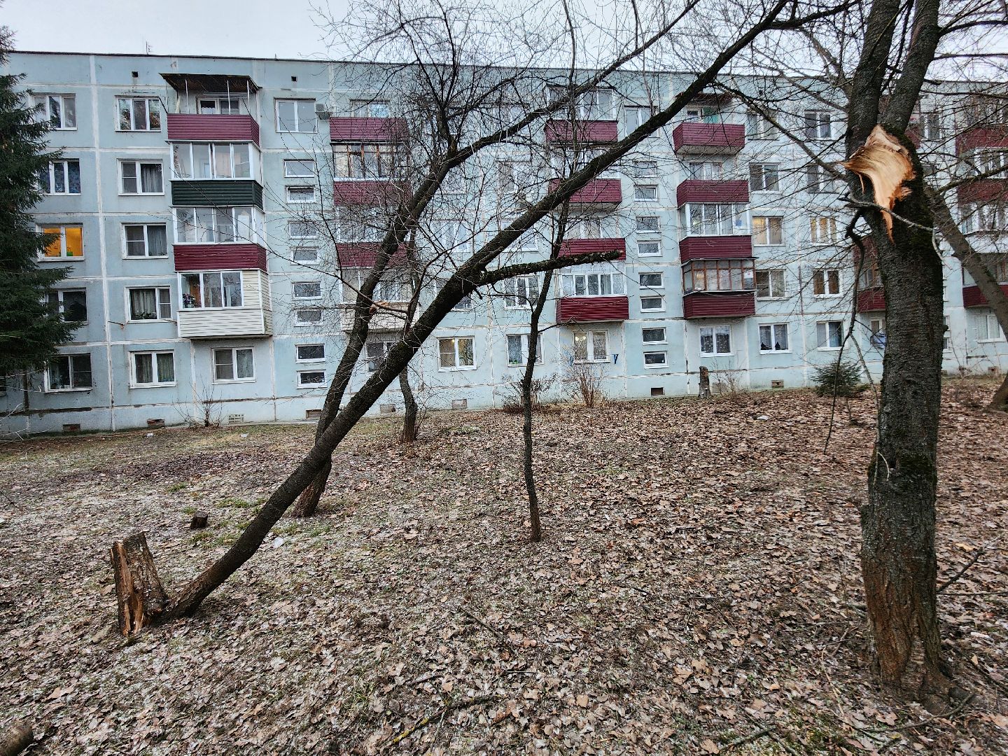 Чехов, дворец спорта олимпийский, выездная администрация, встреча с жителями, обращения граждан, Вокзальная площадь 2, опилить деревья, удалить аварийные деревья, сухостойные деревья, содержание придомовой территории,
