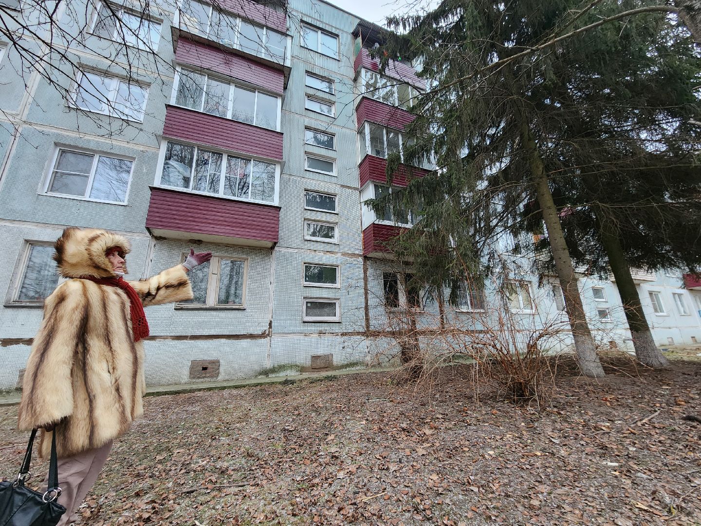 Чехов, дворец спорта олимпийский, выездная администрация, встреча с жителями, обращения граждан, Вокзальная площадь 2, опилить деревья, удалить аварийные деревья, сухостойные деревья, содержание придомовой территории,