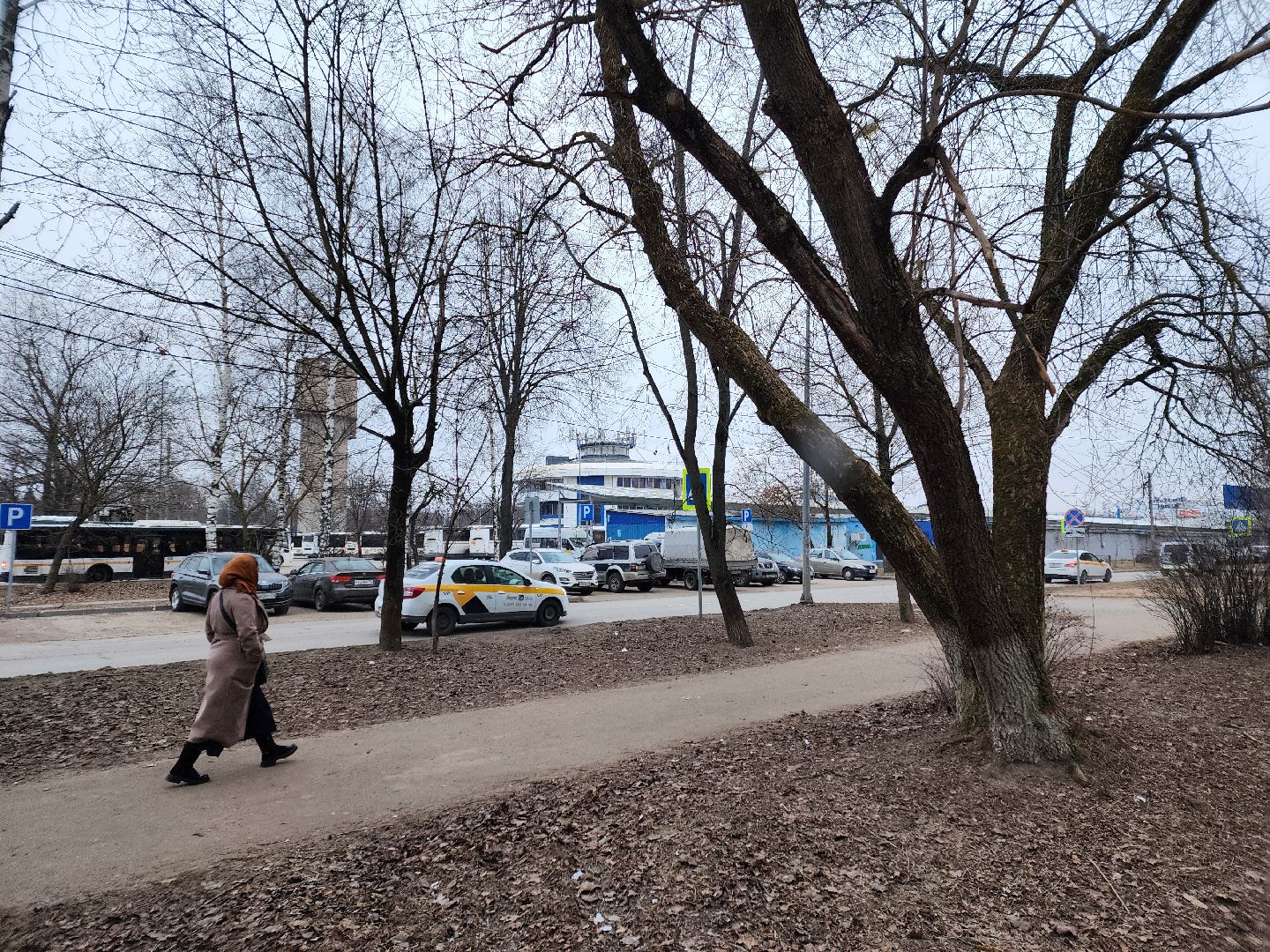 Чехов, дворец спорта олимпийский, выездная администрация, встреча с жителями, обращения граждан, Вокзальная площадь 2, опилить деревья, удалить аварийные деревья, сухостойные деревья, содержание придомовой территории,