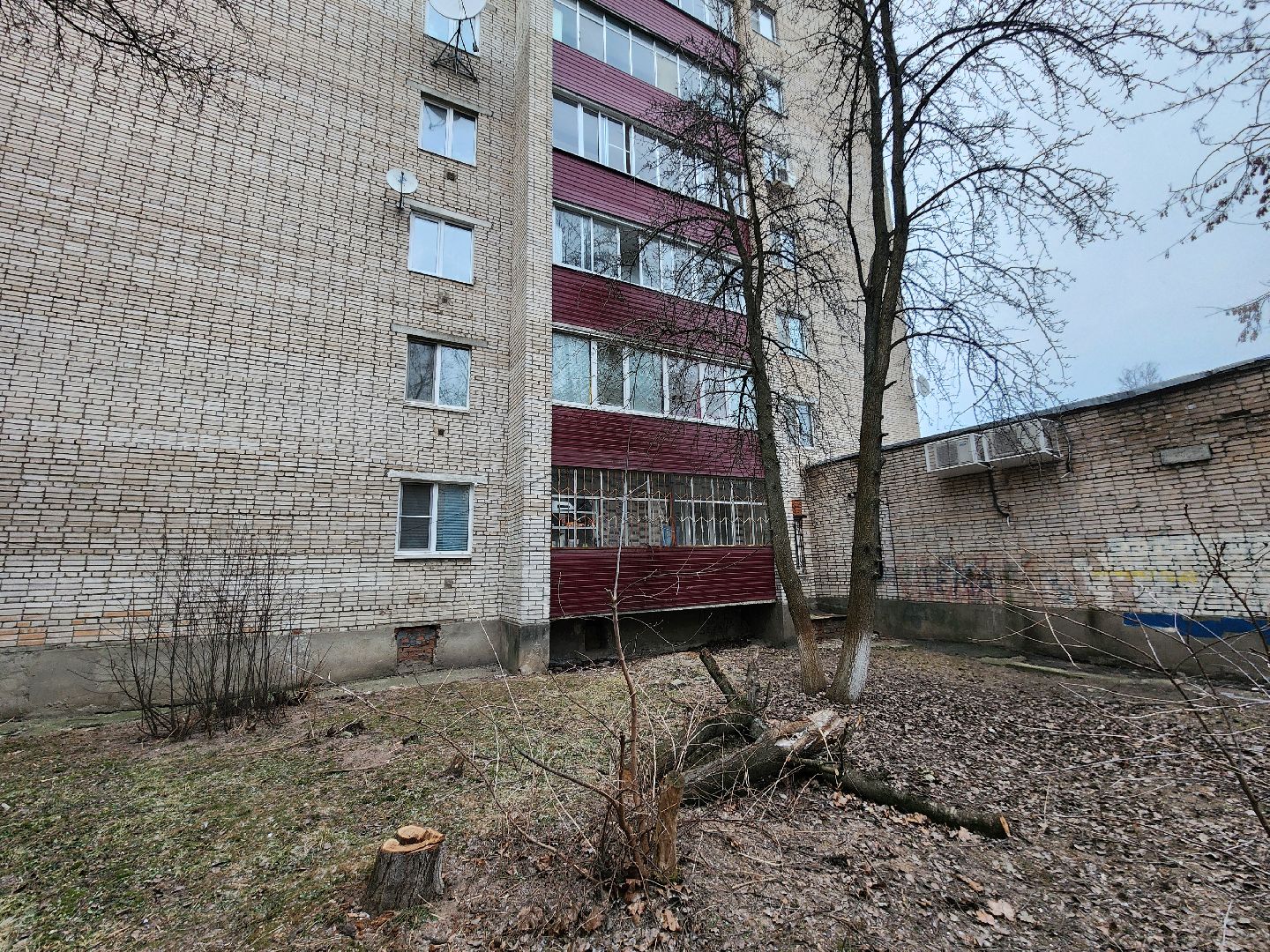 Чехов, дворец спорта олимпийский, выездная администрация, встреча с жителями, обращения граждан, Вокзальная площадь 2, опилить деревья, удалить аварийные деревья, сухостойные деревья, содержание придомовой территории,