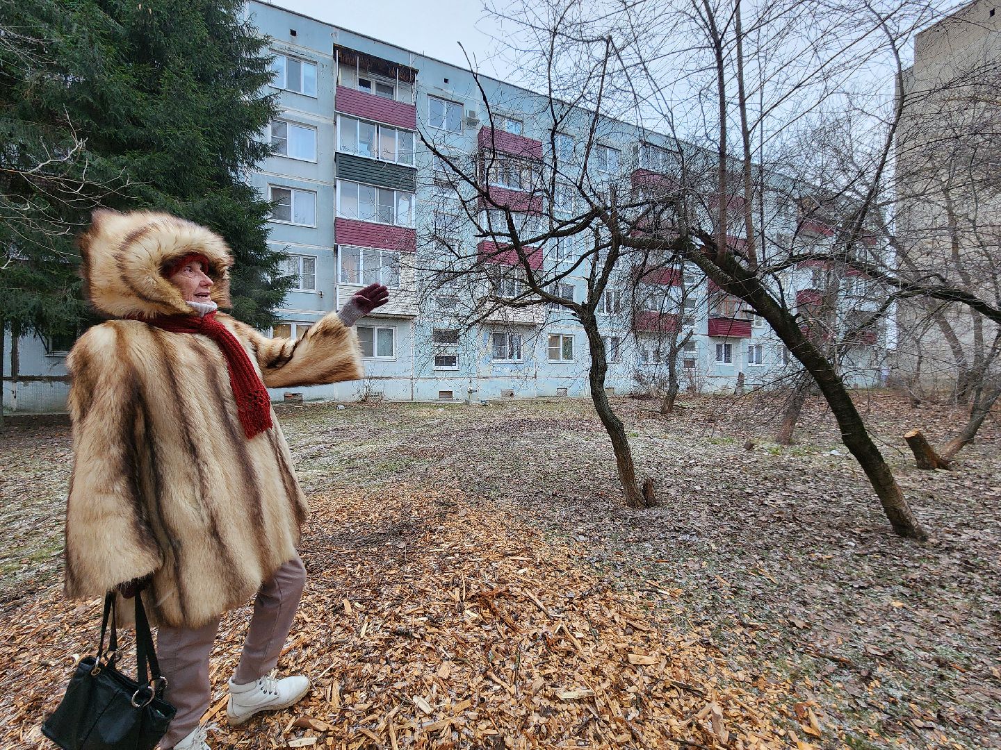 Чехов, дворец спорта олимпийский, выездная администрация, встреча с жителями, обращения граждан, Вокзальная площадь 2, опилить деревья, удалить аварийные деревья, сухостойные деревья, содержание придомовой территории,