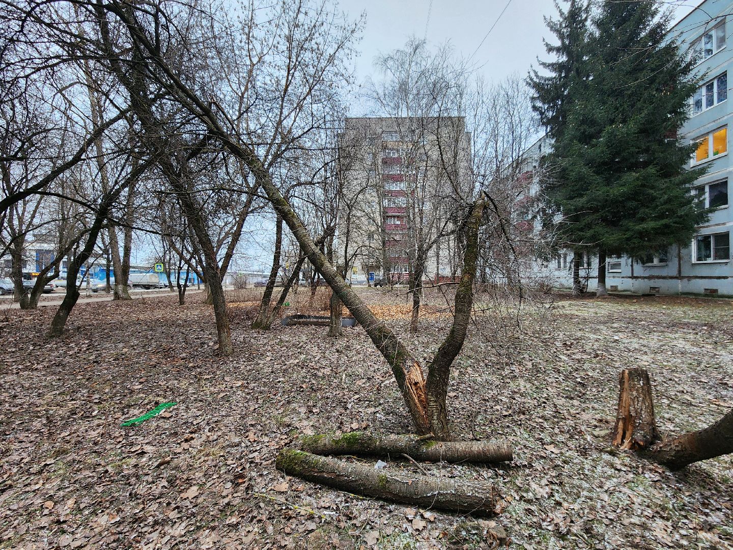 Чехов, дворец спорта олимпийский, выездная администрация, встреча с жителями, обращения граждан, Вокзальная площадь 2, опилить деревья, удалить аварийные деревья, сухостойные деревья, содержание придомовой территории,