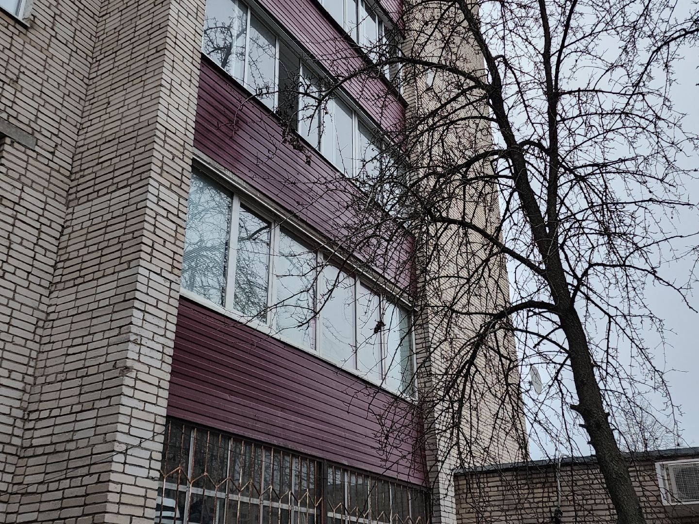 Чехов, дворец спорта олимпийский, выездная администрация, встреча с жителями, обращения граждан, Вокзальная площадь 2, опилить деревья, удалить аварийные деревья, сухостойные деревья, содержание придомовой территории,