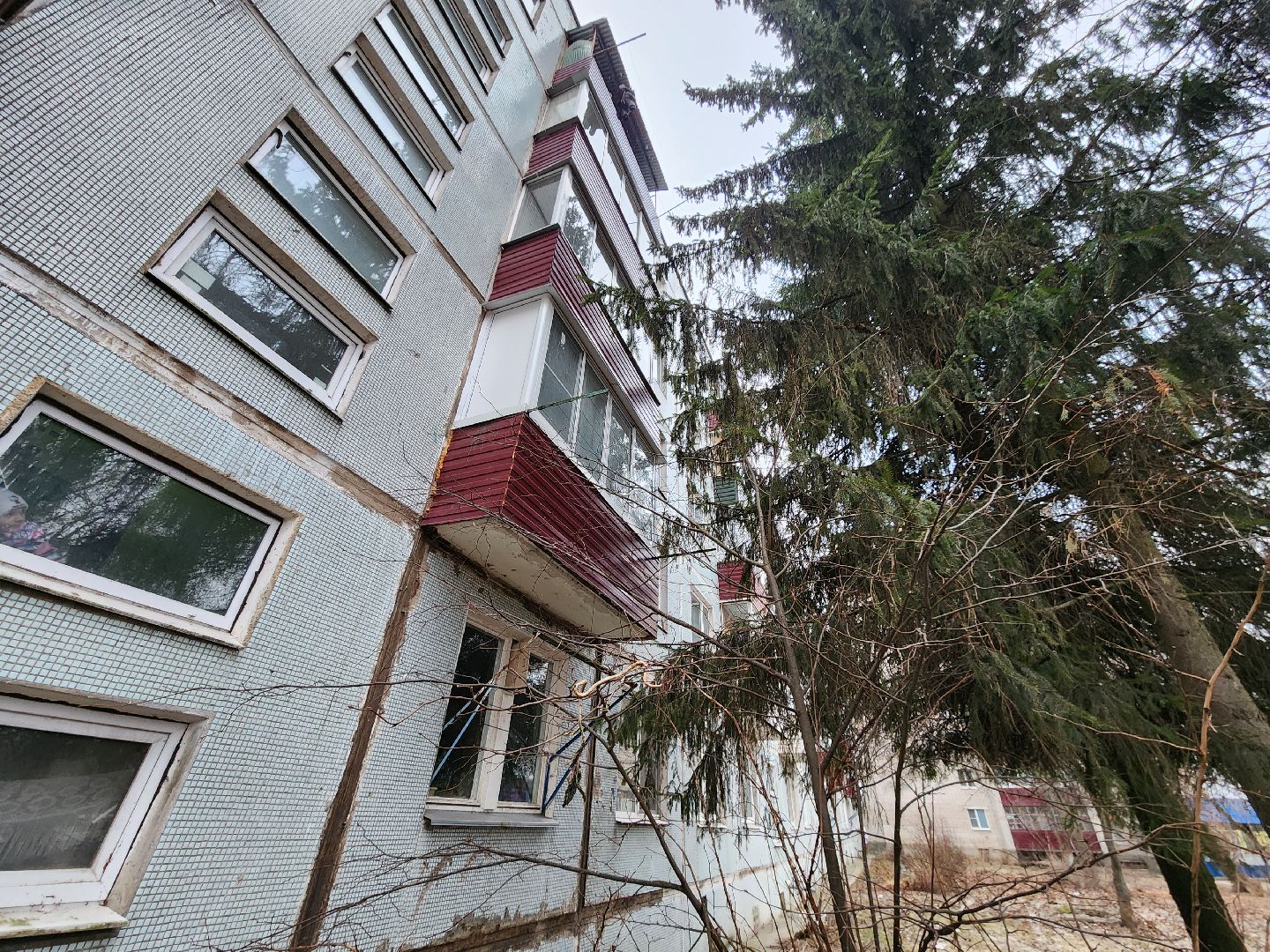 Чехов, дворец спорта олимпийский, выездная администрация, встреча с жителями, обращения граждан, Вокзальная площадь 2, опилить деревья, удалить аварийные деревья, сухостойные деревья, содержание придомовой территории,