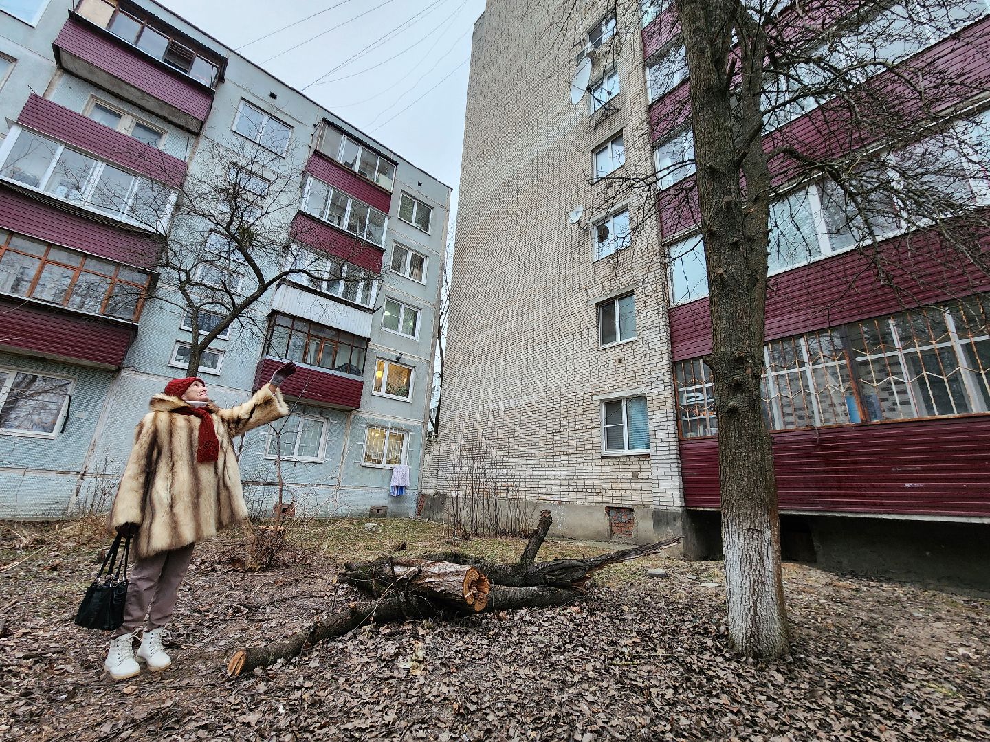 Чехов, дворец спорта олимпийский, выездная администрация, встреча с жителями, обращения граждан, Вокзальная площадь 2, опилить деревья, удалить аварийные деревья, сухостойные деревья, содержание придомовой территории,