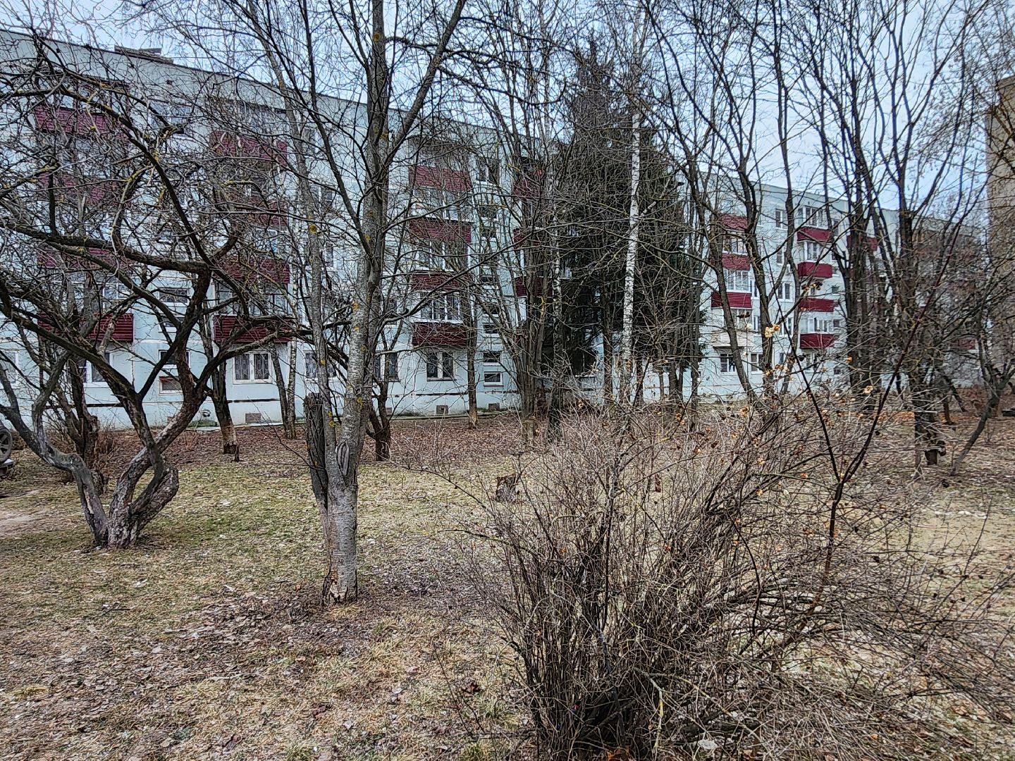 Чехов, дворец спорта олимпийский, выездная администрация, встреча с жителями, обращения граждан, Вокзальная площадь 2, опилить деревья, удалить аварийные деревья, сухостойные деревья, содержание придомовой территории,