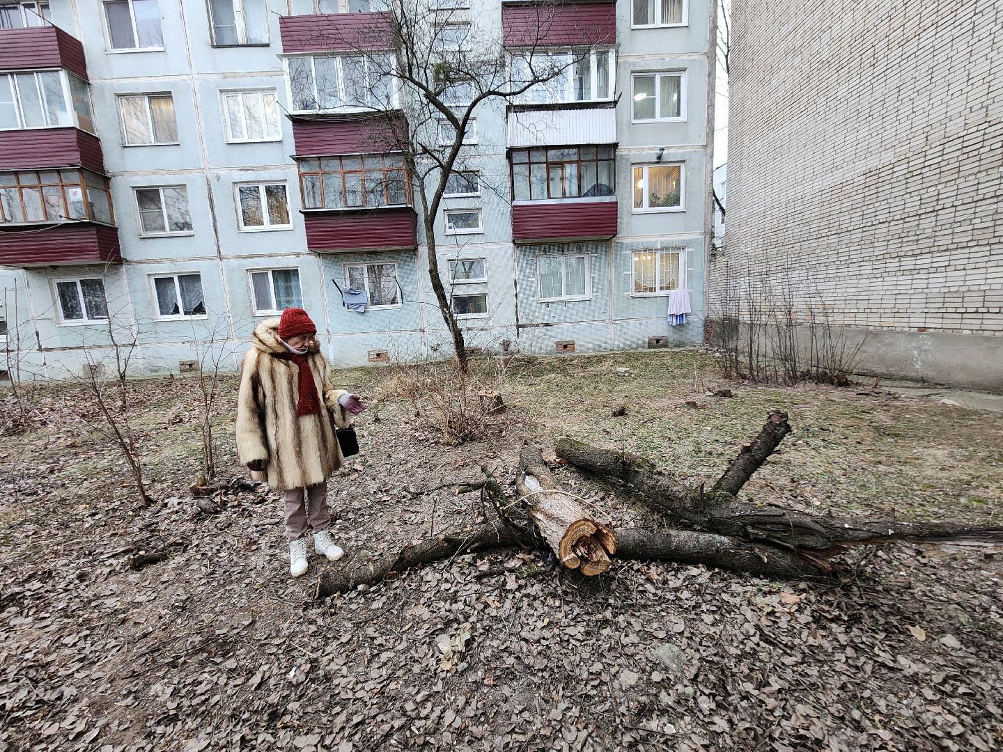 Чехов, дворец спорта олимпийский, выездная администрация, встреча с жителями, обращения граждан, Вокзальная площадь 2, опилить деревья, удалить аварийные деревья, сухостойные деревья, содержание придомовой территории,