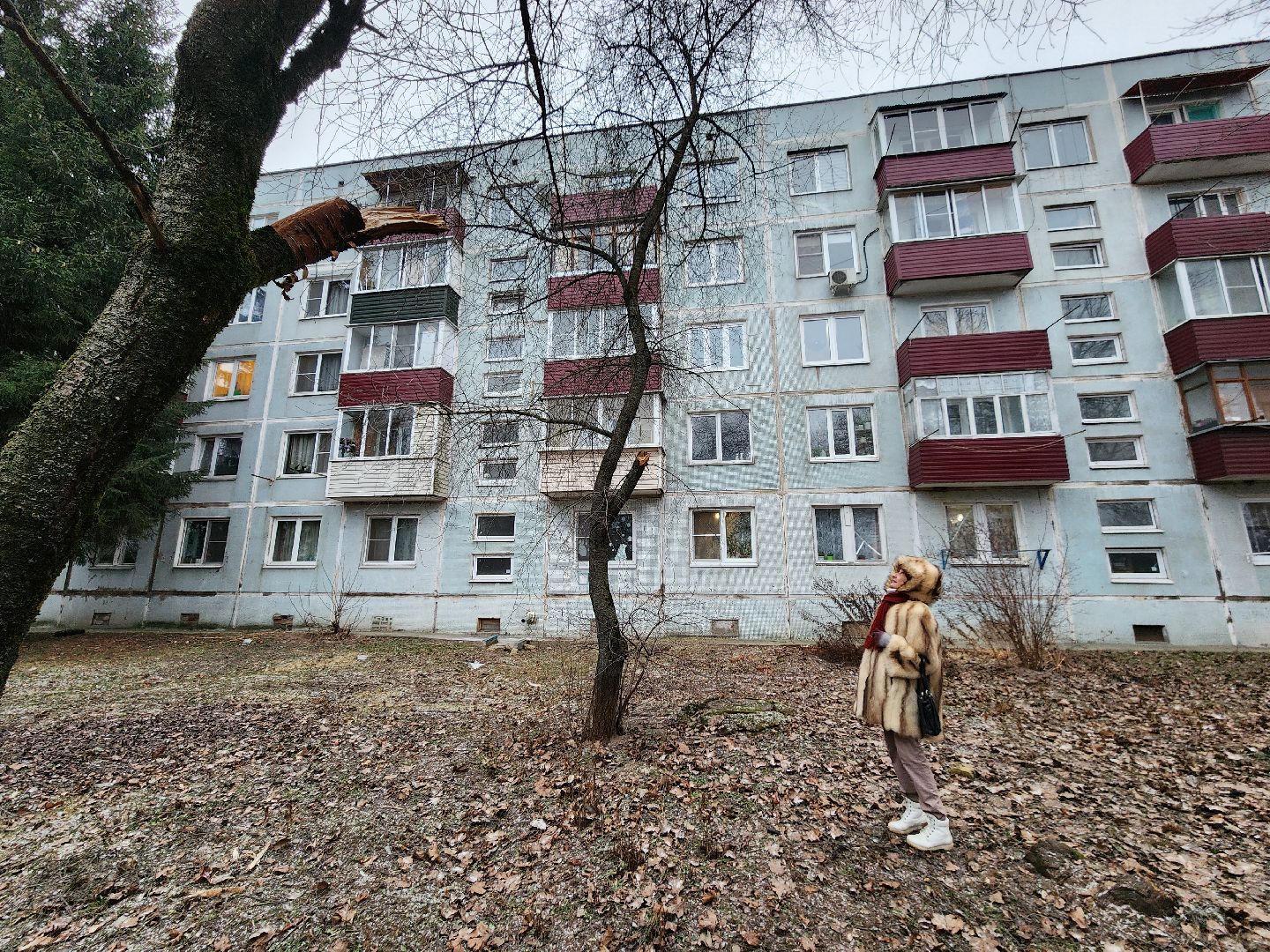 Чехов, дворец спорта олимпийский, выездная администрация, встреча с жителями, обращения граждан, Вокзальная площадь 2, опилить деревья, удалить аварийные деревья, сухостойные деревья, содержание придомовой территории,