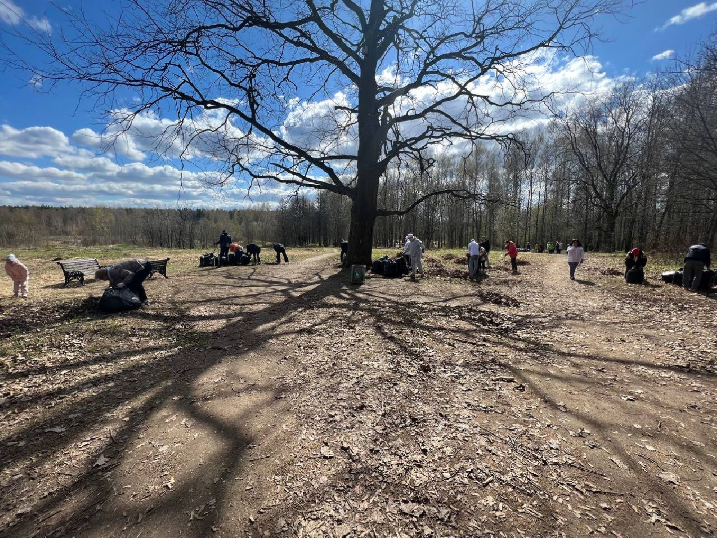 Солнечногорск, субботник, акция, чистота, порядок