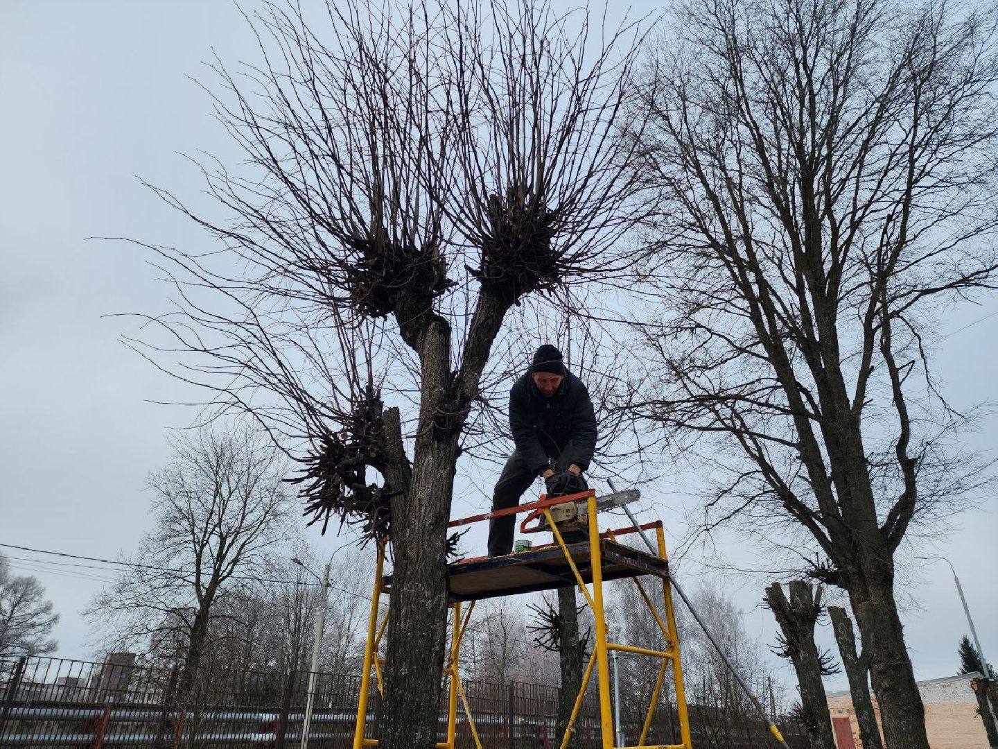 солнечногорск, липы, рабочий, школа, ученики,