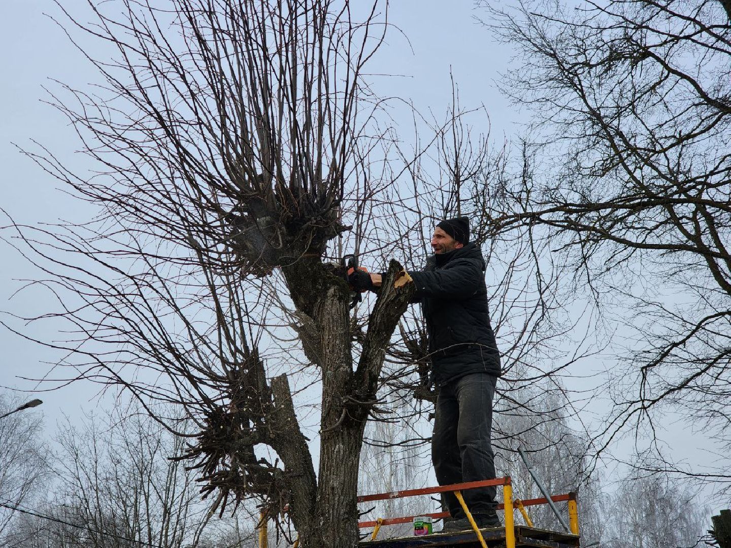 солнечногорск, липы, рабочий, школа, ученики,