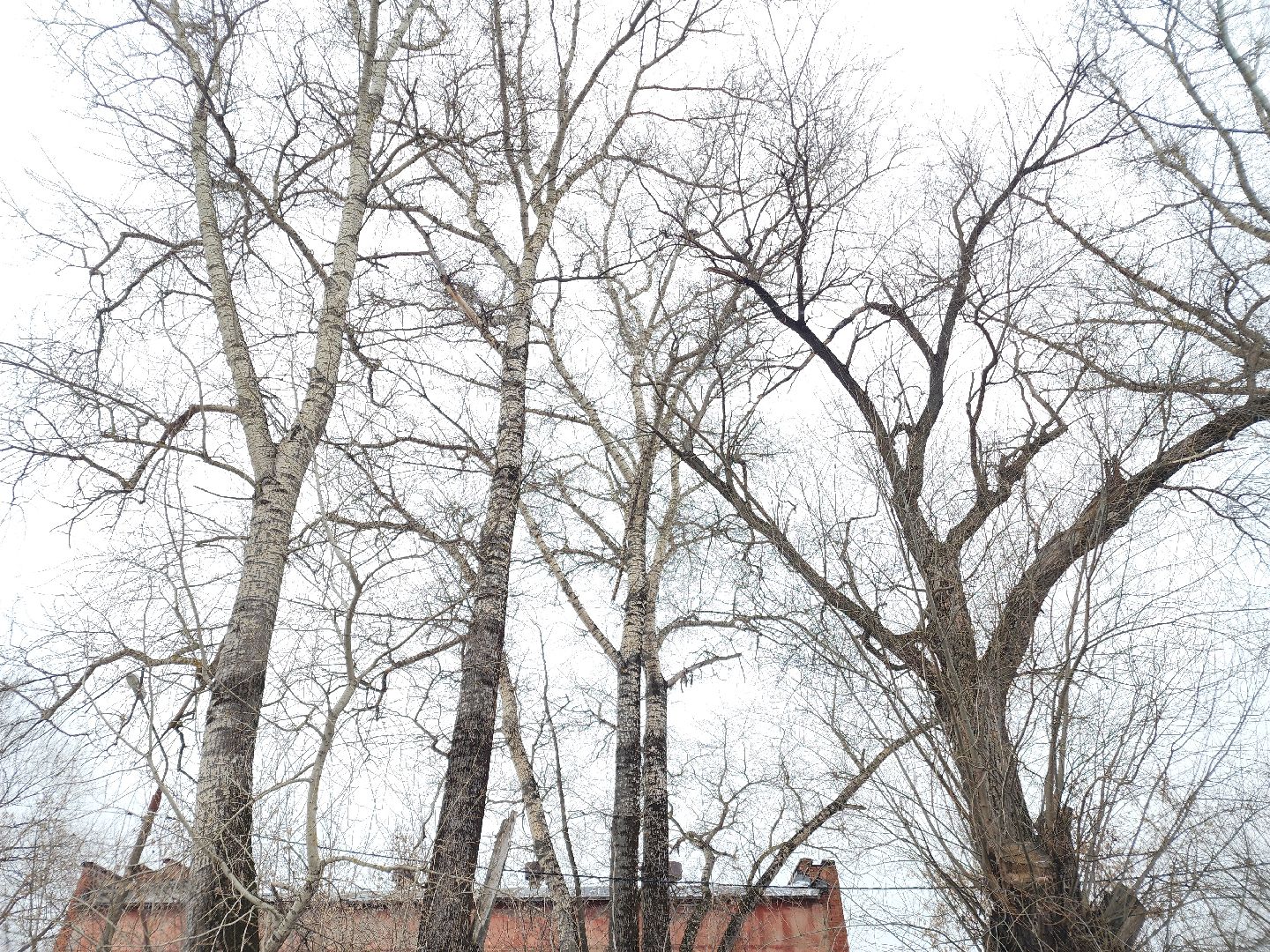 вертикалки, выездная администиация, орехово-зуево, благоустройство,