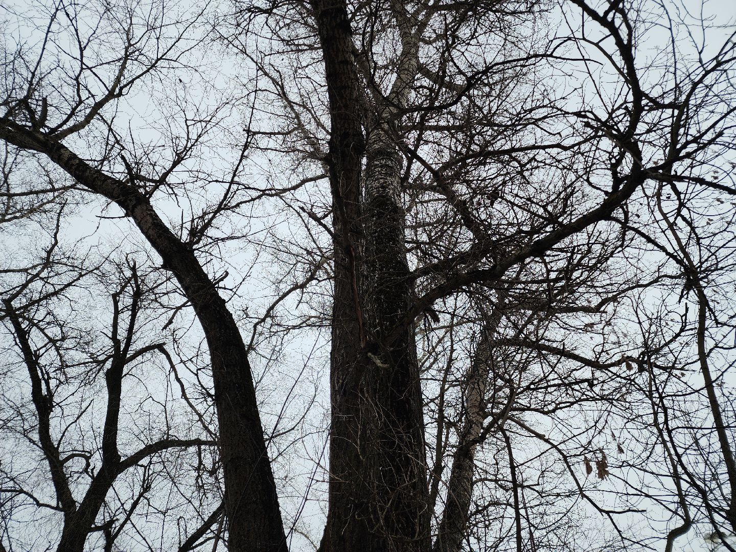 вертикалки, выездная администиация, орехово-зуево, благоустройство,