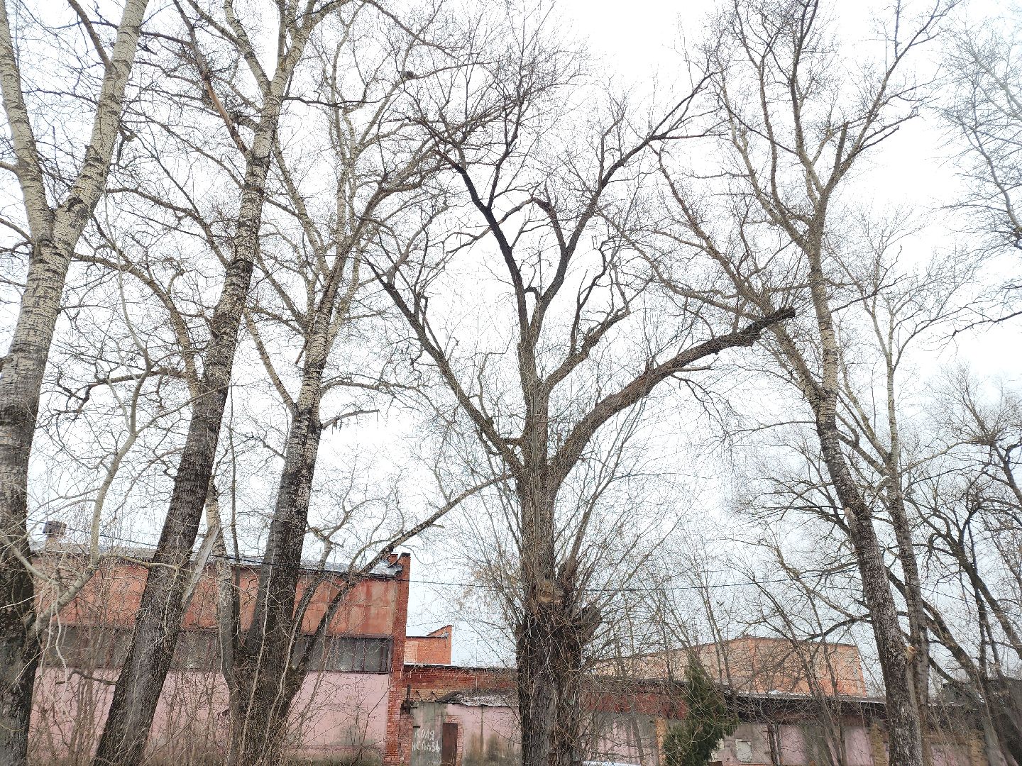 вертикалки, выездная администиация, орехово-зуево, благоустройство,