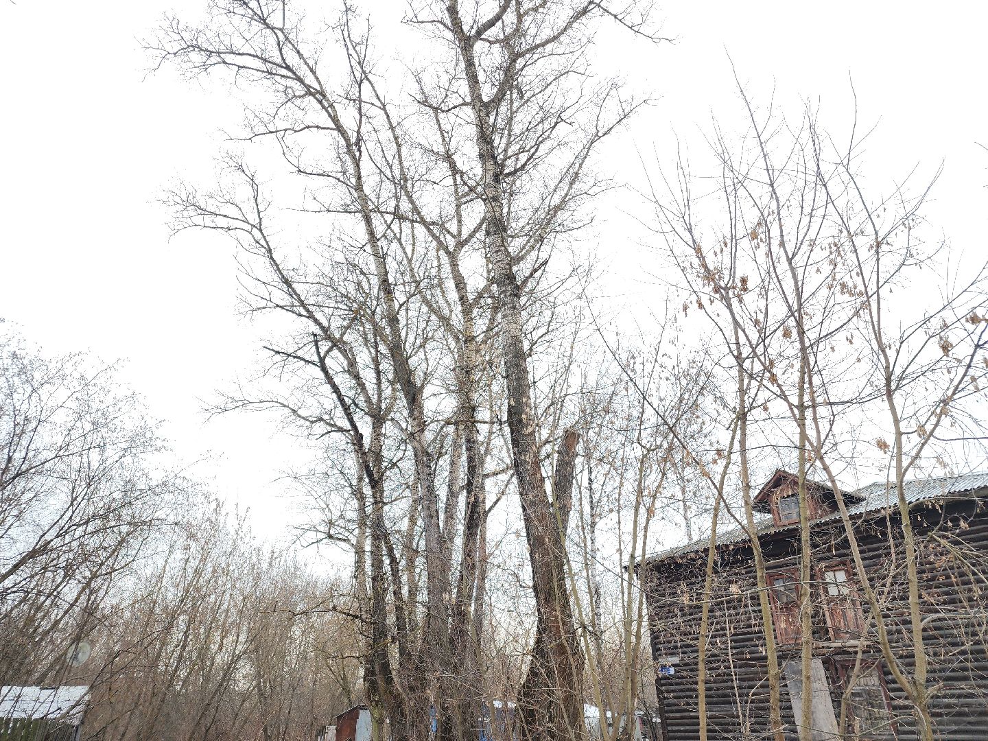 вертикалки, выездная администиация, орехово-зуево, благоустройство,