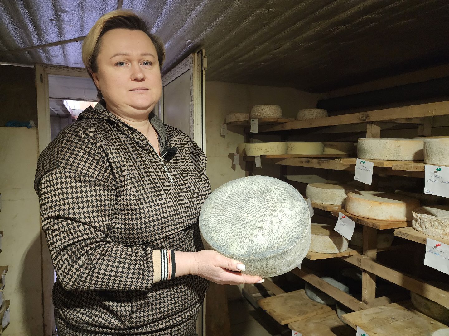 зарайские деликатесы, Зарайск, зарайские фермеры, сыроварня Ивановых, сыроварня в Зарайске,