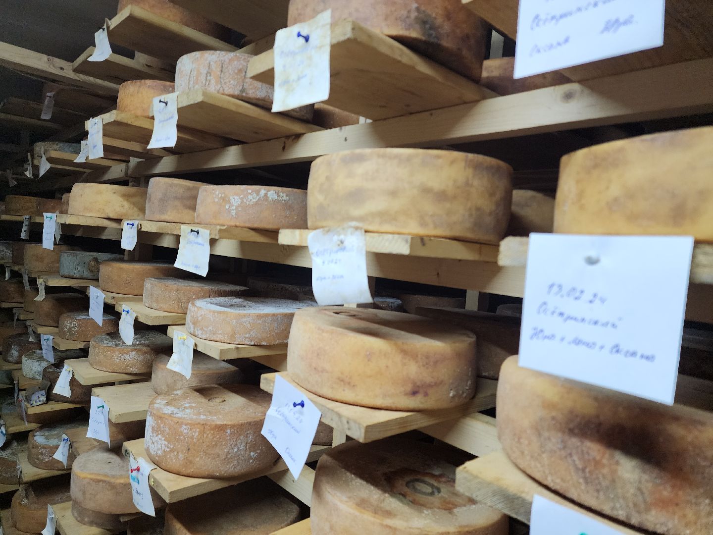 зарайские деликатесы, Зарайск, зарайские фермеры, сыроварня Ивановых, сыроварня в Зарайске,