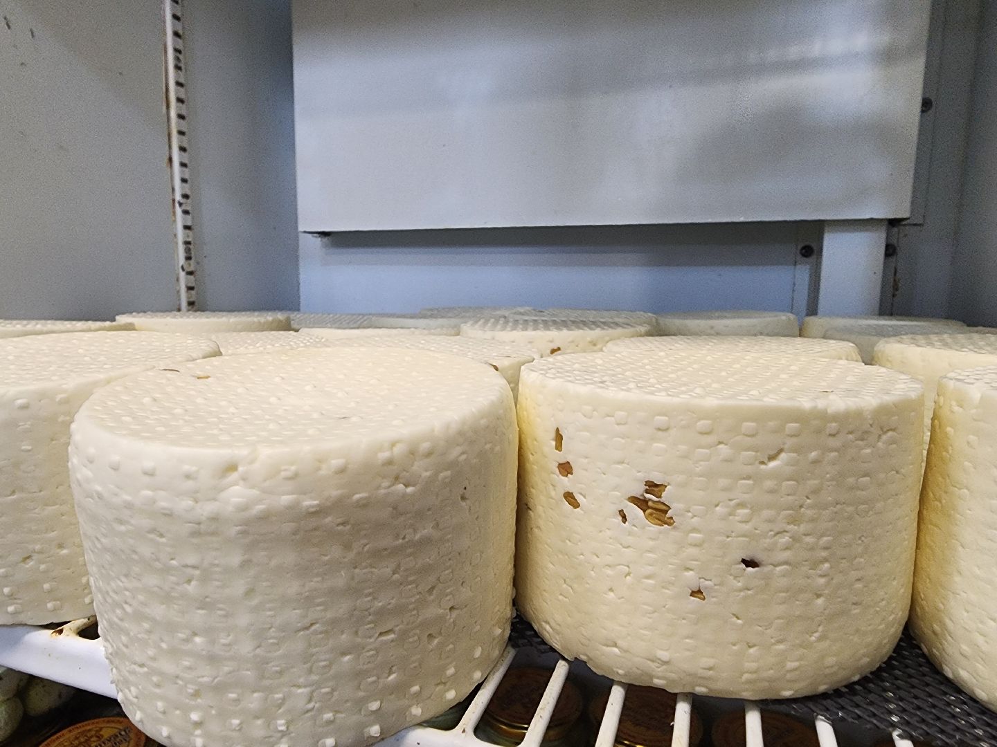 зарайские деликатесы, Зарайск, зарайские фермеры, сыроварня Ивановых, сыроварня в Зарайске,