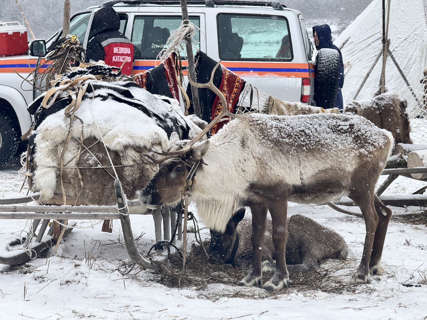 шаховская, фильм, съемка фильма, актеры, вертикалки,