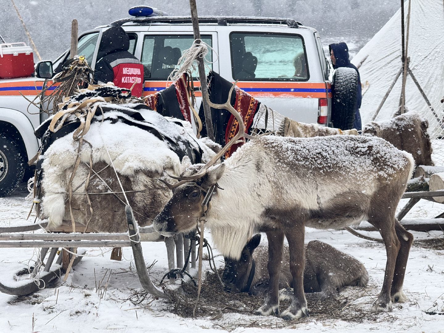 шаховская, фильм, съемка фильма, актеры, вертикалки,