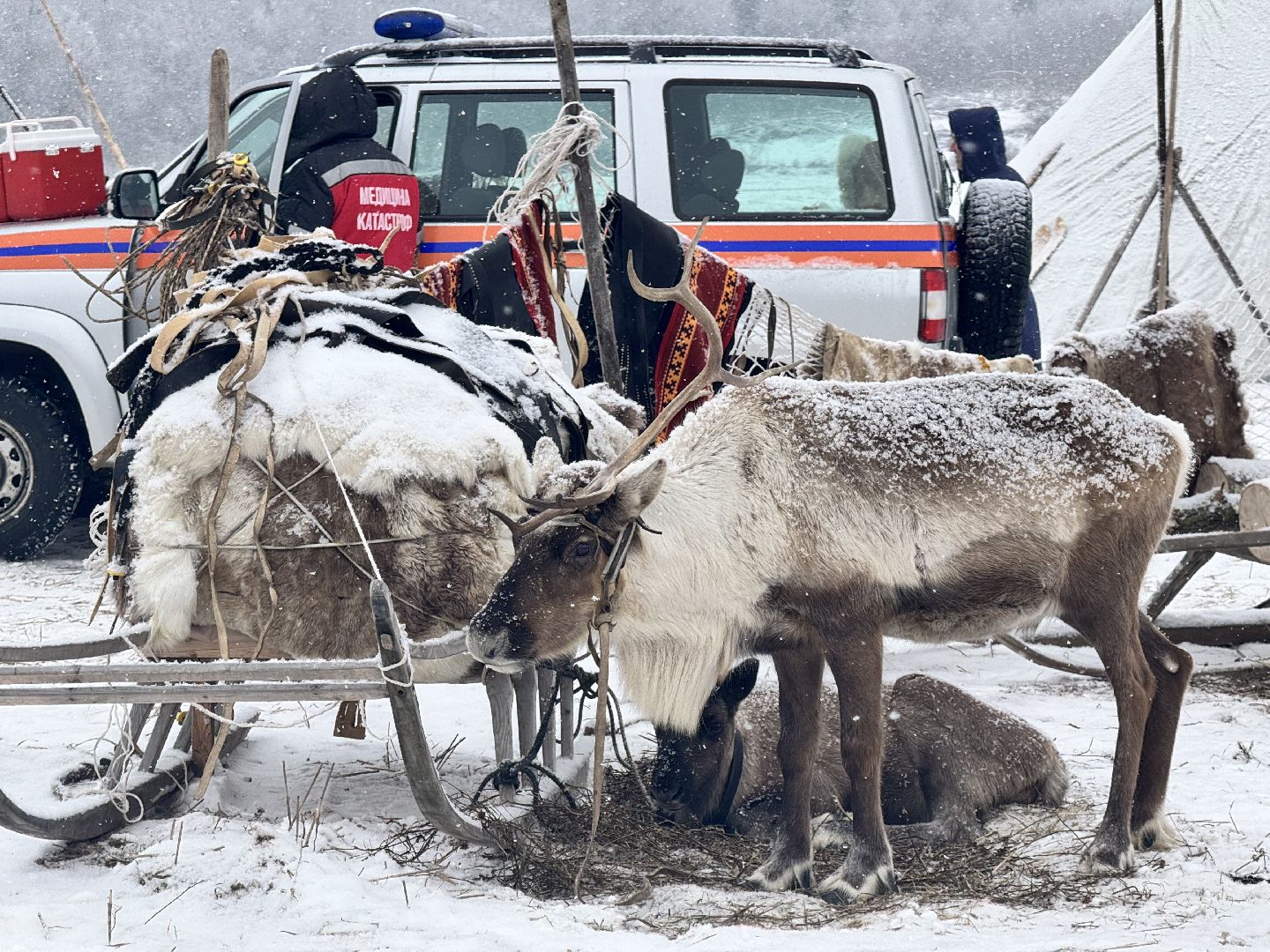 шаховская, фильм, съемка фильма, актеры, вертикалки,