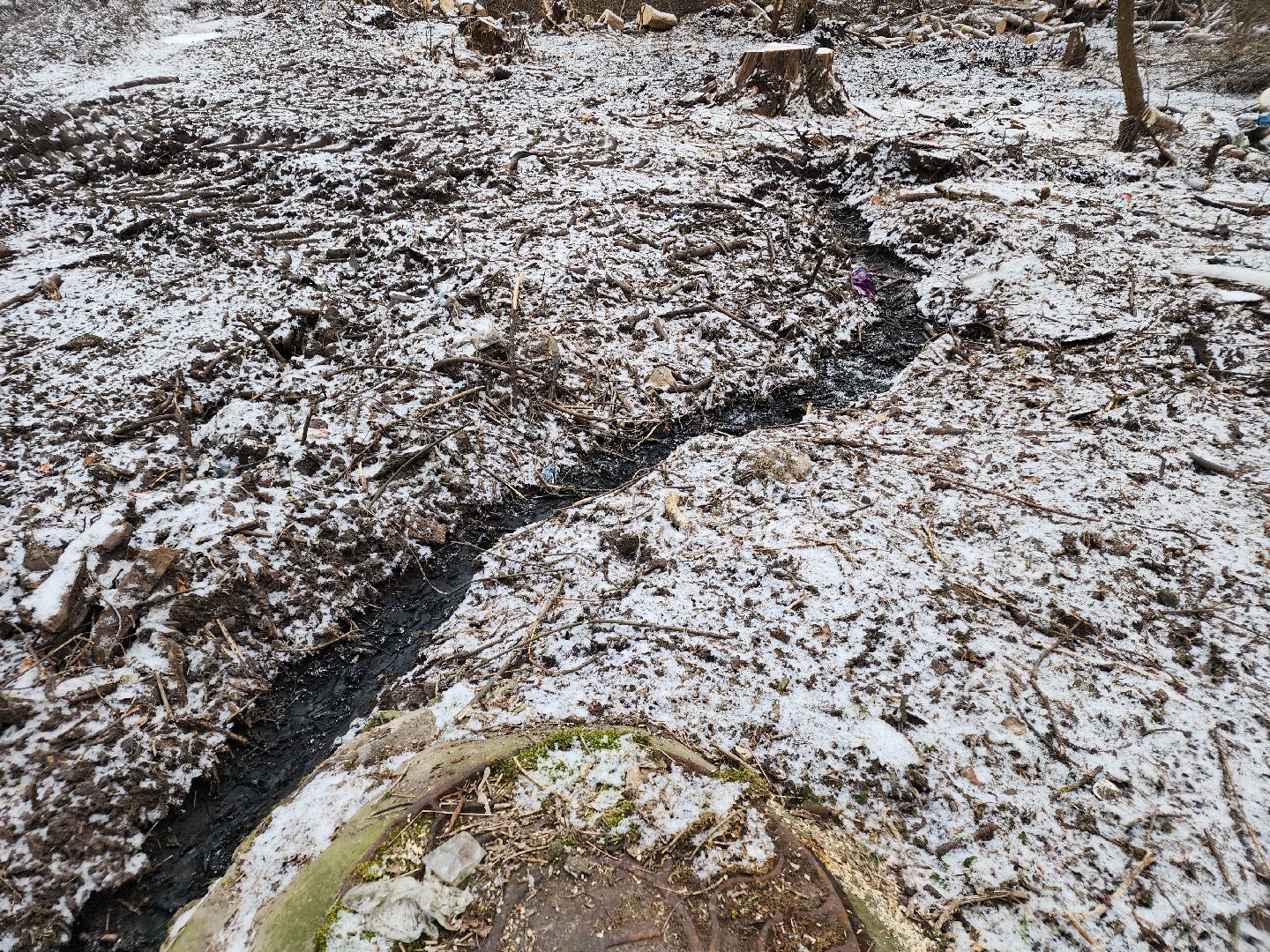 вертикалки, выездная администрация, орехово зуево,