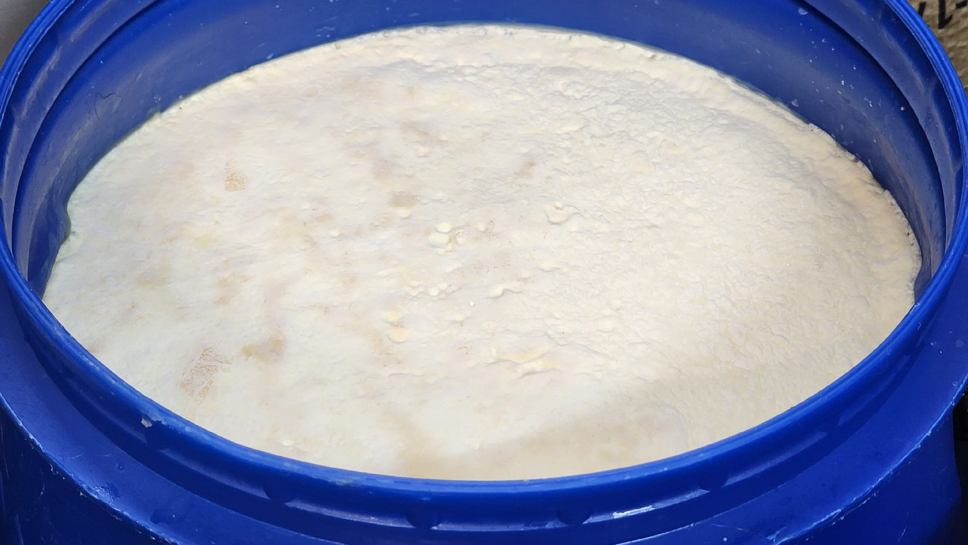 солнечногорск, сыроварня, деревня мошницы, джей клоуз,