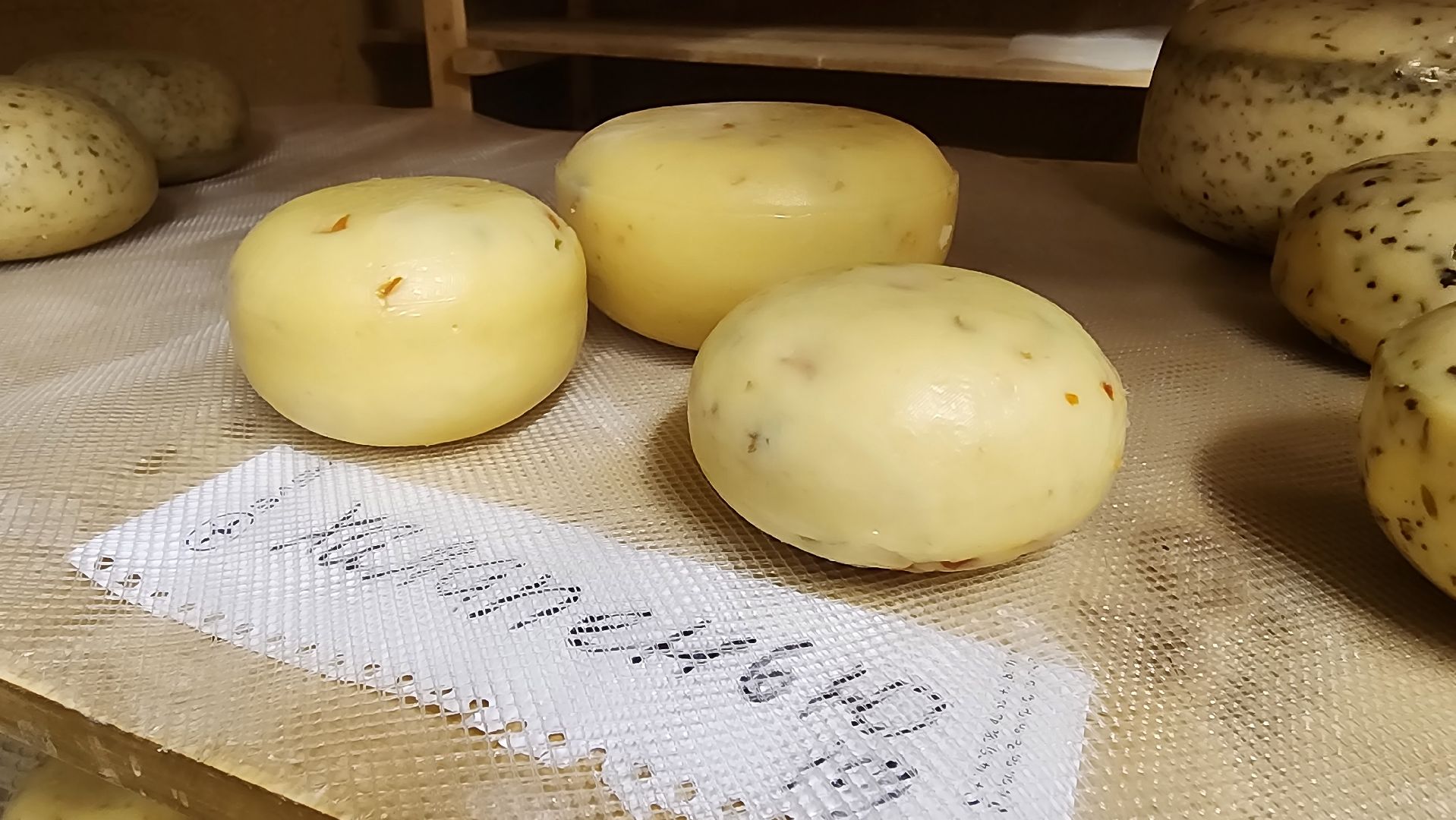 солнечногорск, сыроварня, деревня мошницы, джей клоуз,