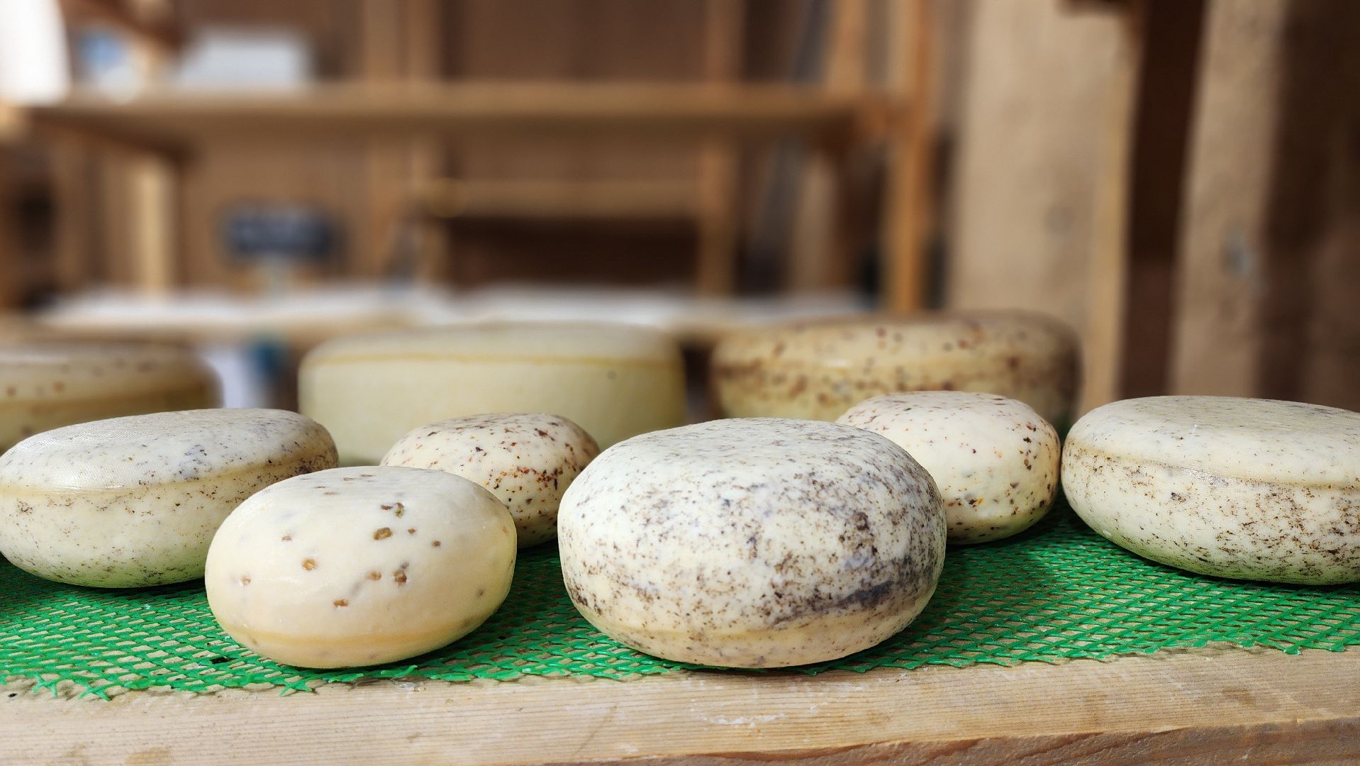 солнечногорск, сыроварня, деревня мошницы, джей клоуз,